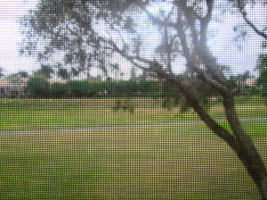 BOCA DELRAY - Residential