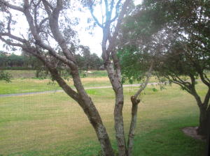 BOCA DELRAY - Residential