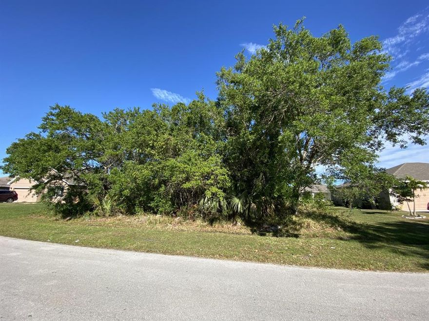 1/4 acre lot in desirable Port St. Lucie neighborhood is the perfect location for your new home. One of the last buildable lots on the street. Easy access to I-95 and the turnpike. Close to shopping, restaurants, First Data Field, and short drive to world class beaches.