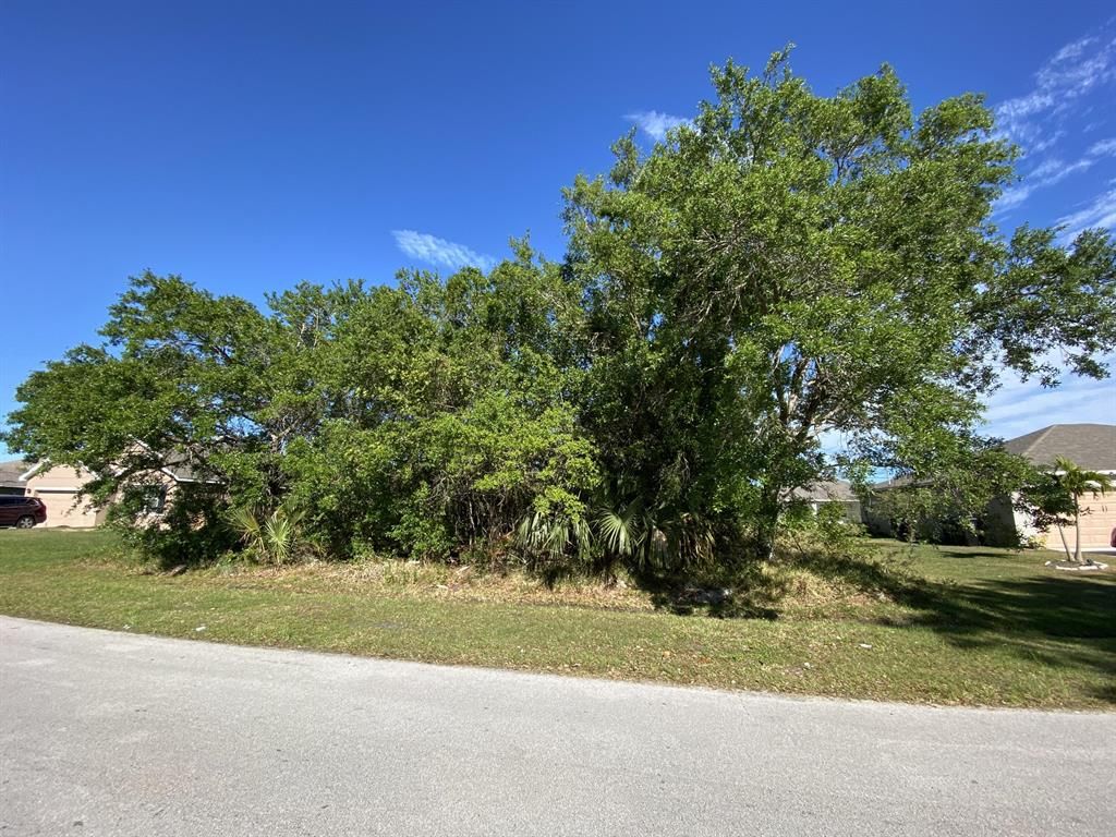 Photo of 1967 SW Beard Street, Port St Lucie, FL 34953 (MLS # R10877516)