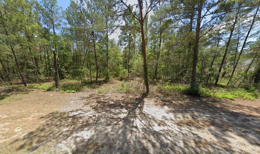 Build your future in the heart of Homosassa! This 0.34-acre vacant duplex lot at 6255 W Oak Park Blvd offers a fantastic opportunity for investors or builders looking to develop income-producing property. Nestled in a peaceful setting with convenient access to nearby shopping, dining, and outdoor recreation, this property provides the perfect balance of privacy and accessibility. Enjoy being just minutes from the natural beauty and water activities that make Homosassa a sought-after destination. Whether you're ready to build a duplex now or hold for the future, this spacious lot gives you the flexibility to maximize its potential.