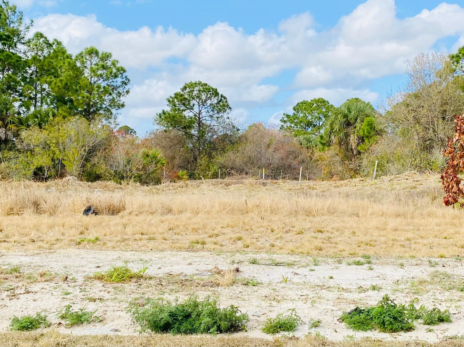 PALM BREEZES PHAE 3A - Residential Lease