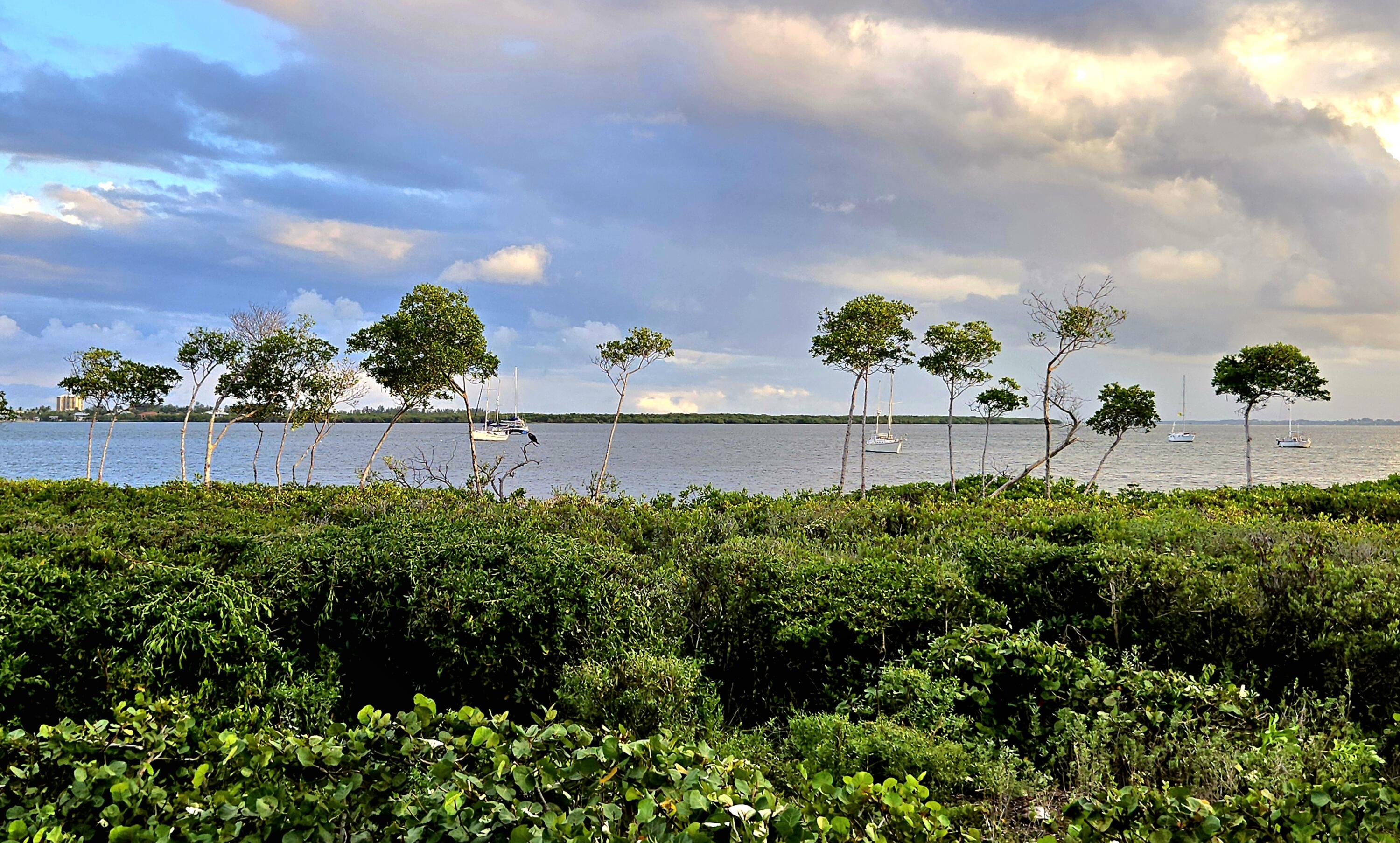 Harbour Isle West - Residential Lease