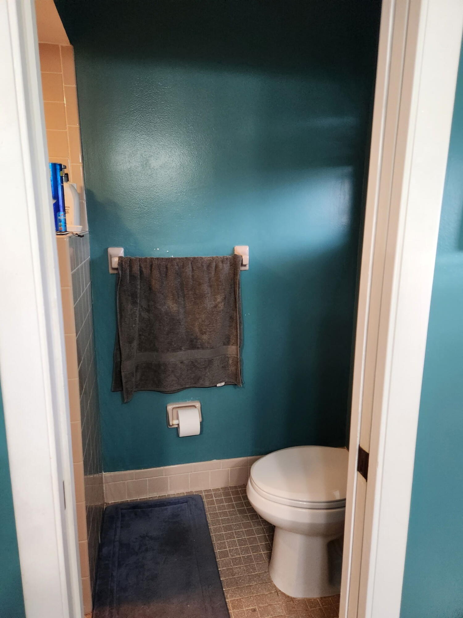 SPRINGLAKE II - Residential