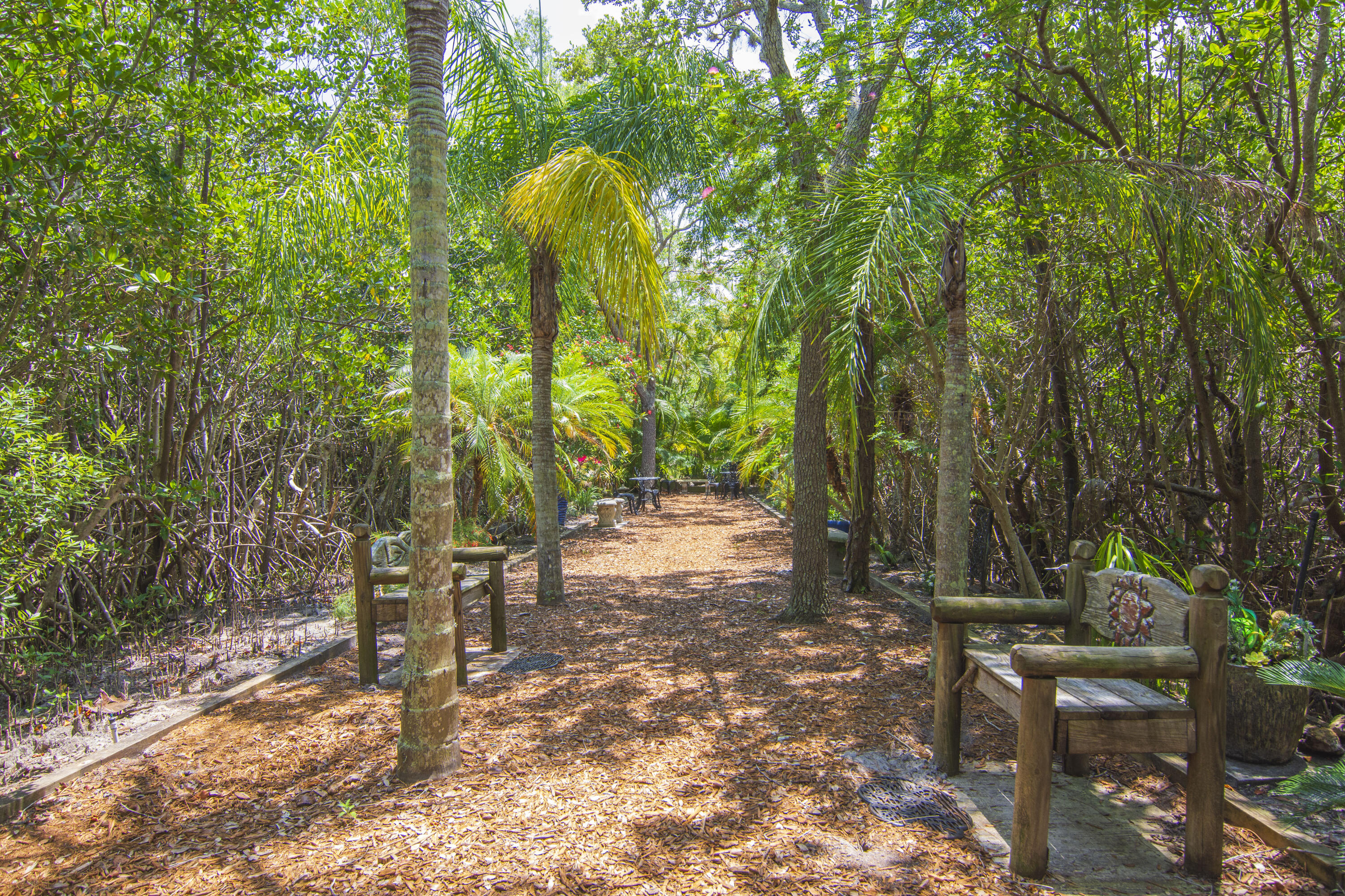 GROVE ISLE EAST CONDOMINIUM - Residential