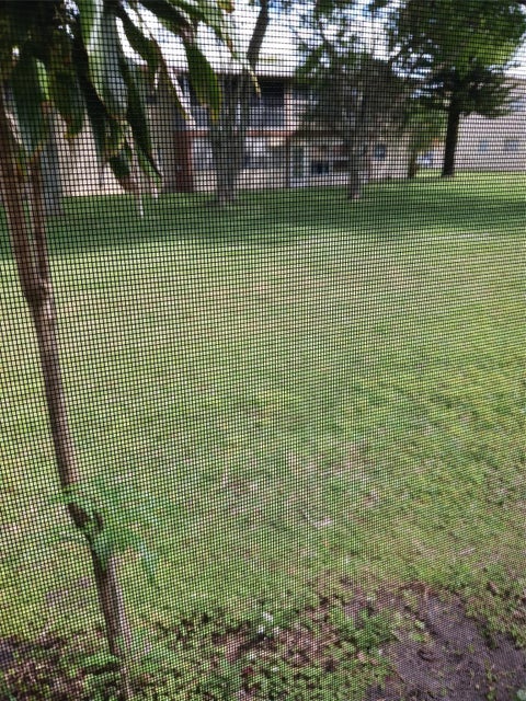 Tiny photo for 7605 W Atlantic Boulevard #106, Margate, FL 33063 (MLS # F10433282)