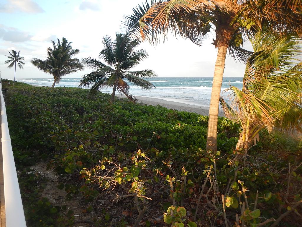 AMBASSADORS V NORTH CONDO - Residential Lease