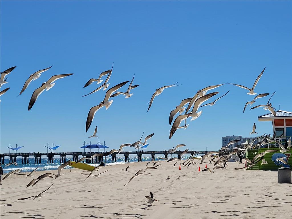 Tradewinds Pompano Beach - Residential