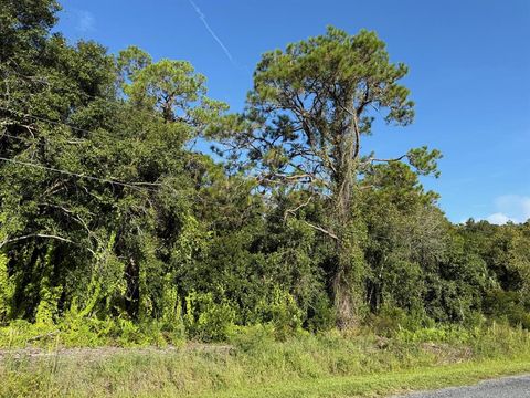 0 Magnolia Drive Lot 34 Okeechobee FL 34972