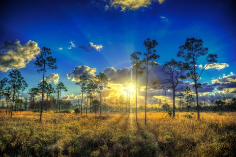 A home in Loxahatchee