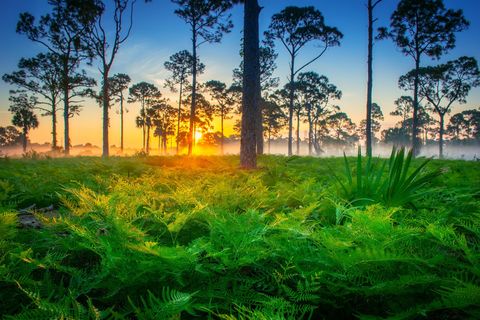 A home in Loxahatchee