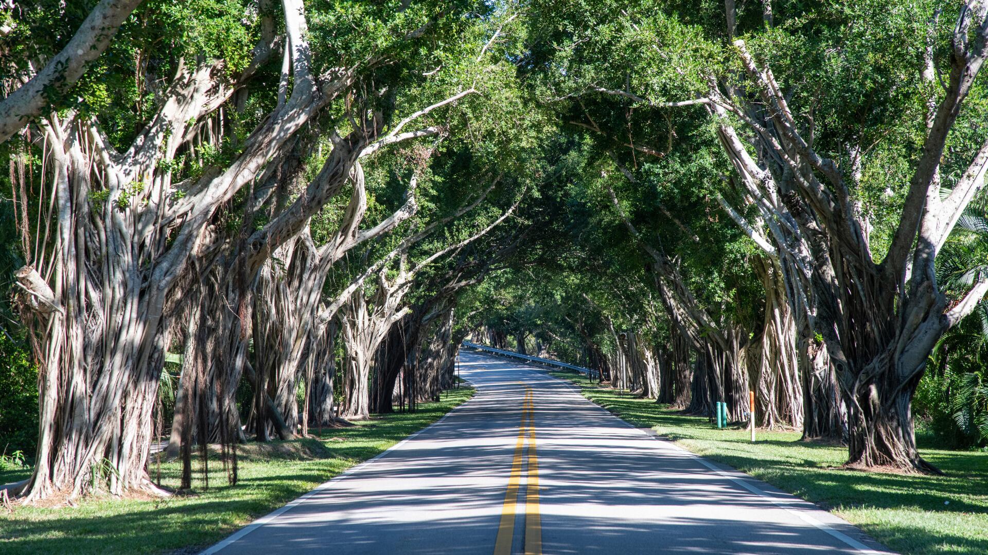 BANYAN GROVES AT HOBE SOUND - Residential
