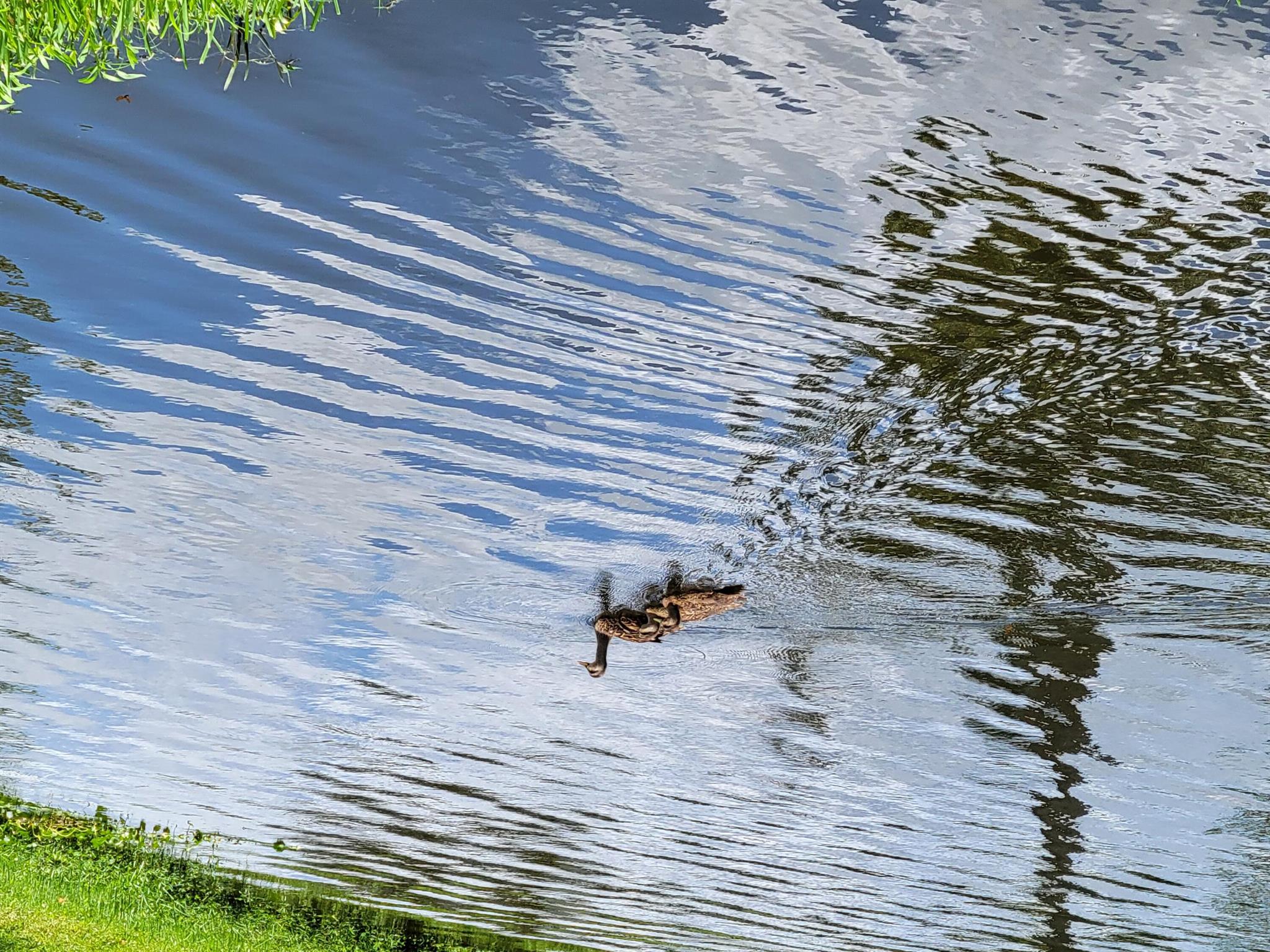 RIVERBEND CONDO - Residential