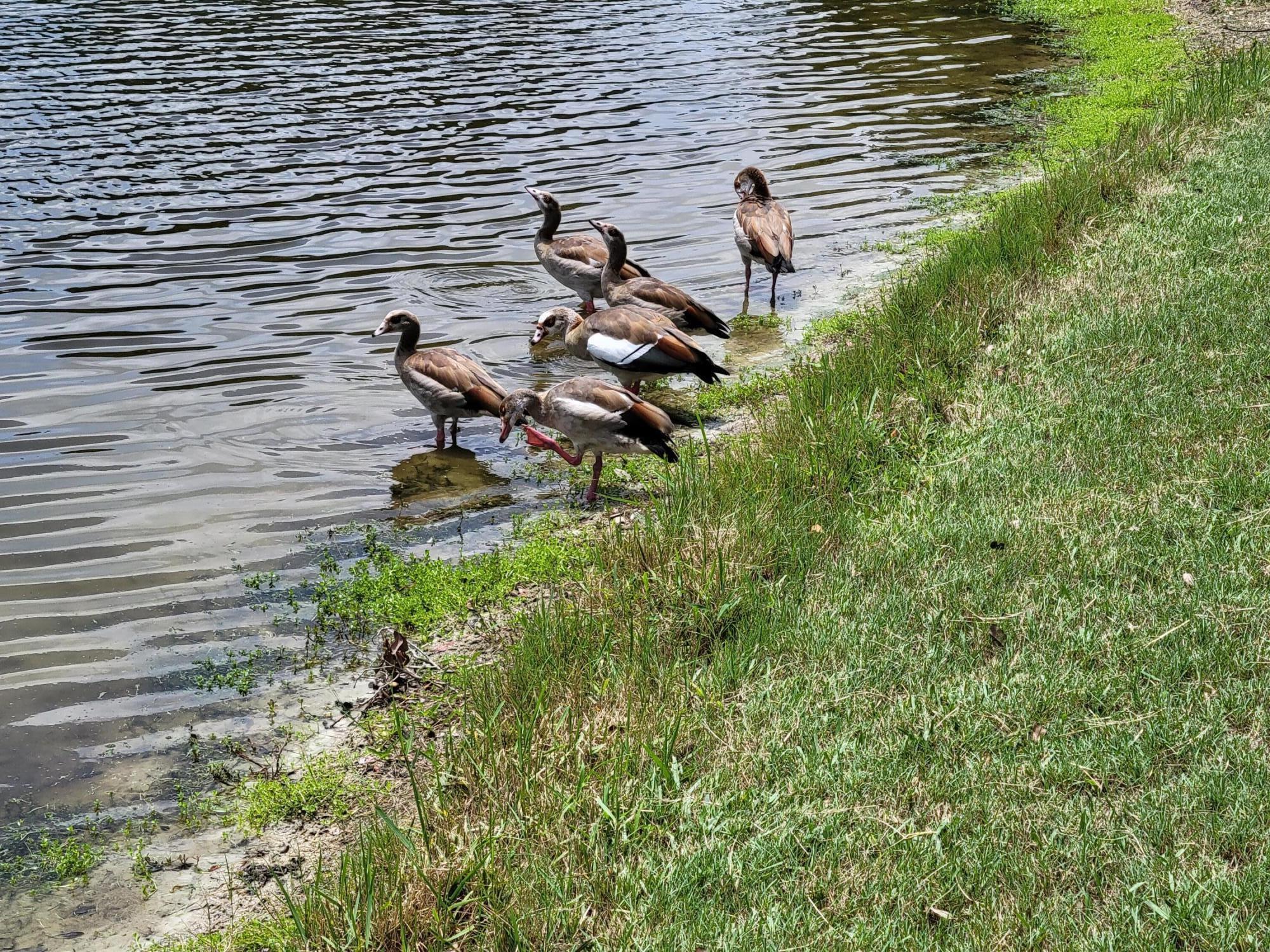 RIVERBEND CONDO - Residential