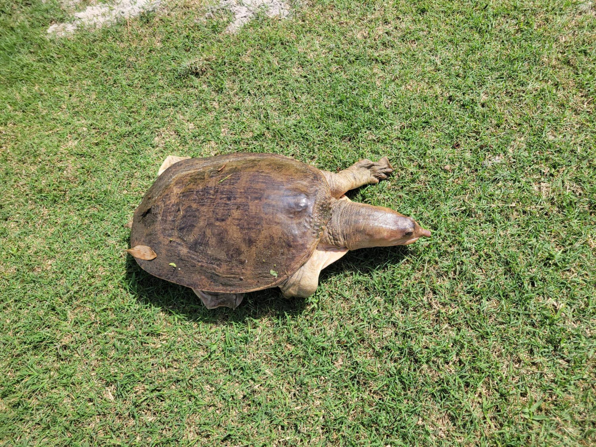 RIVERBEND CONDO - Residential