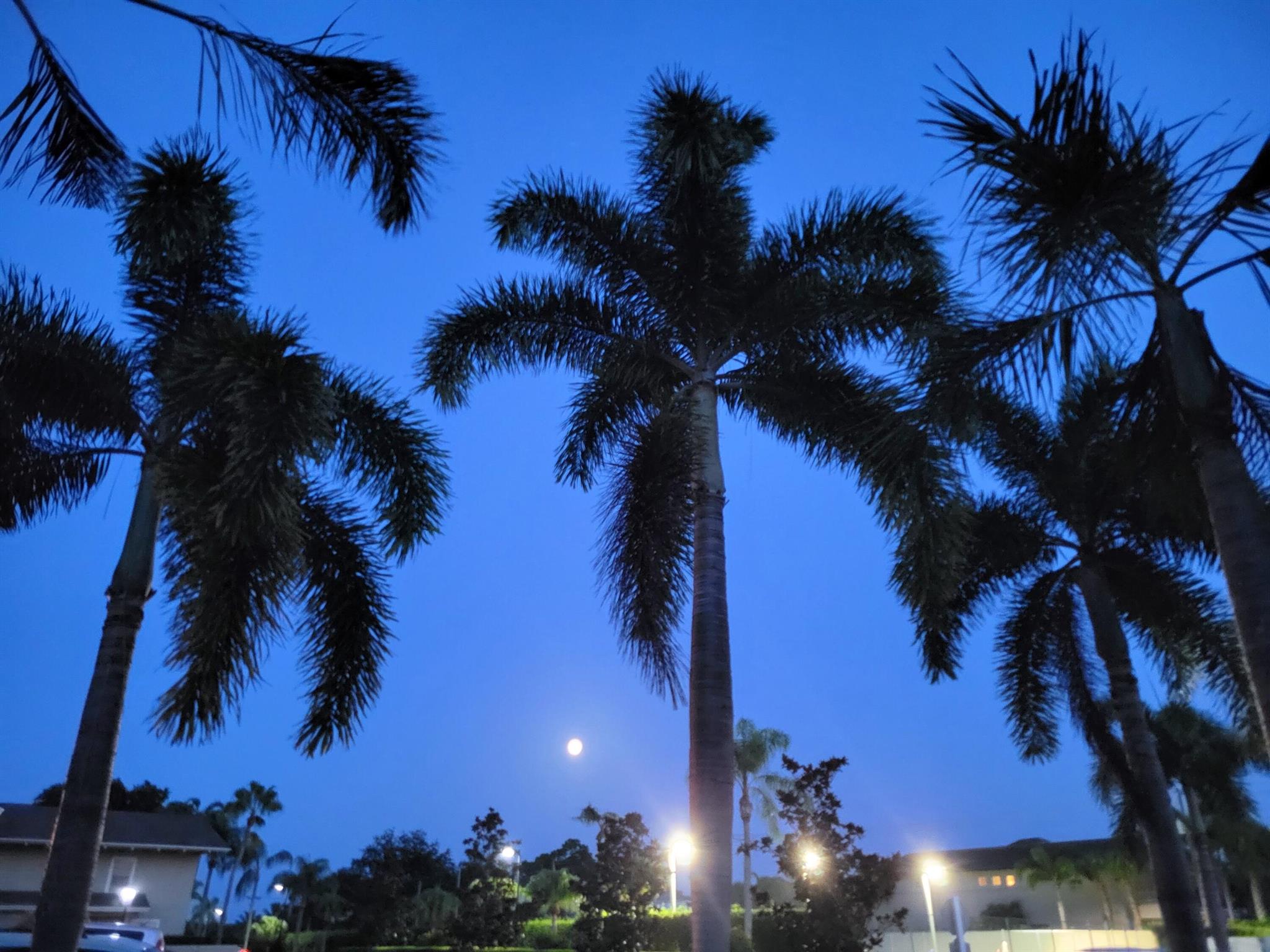 RIVERBEND CONDO - Residential