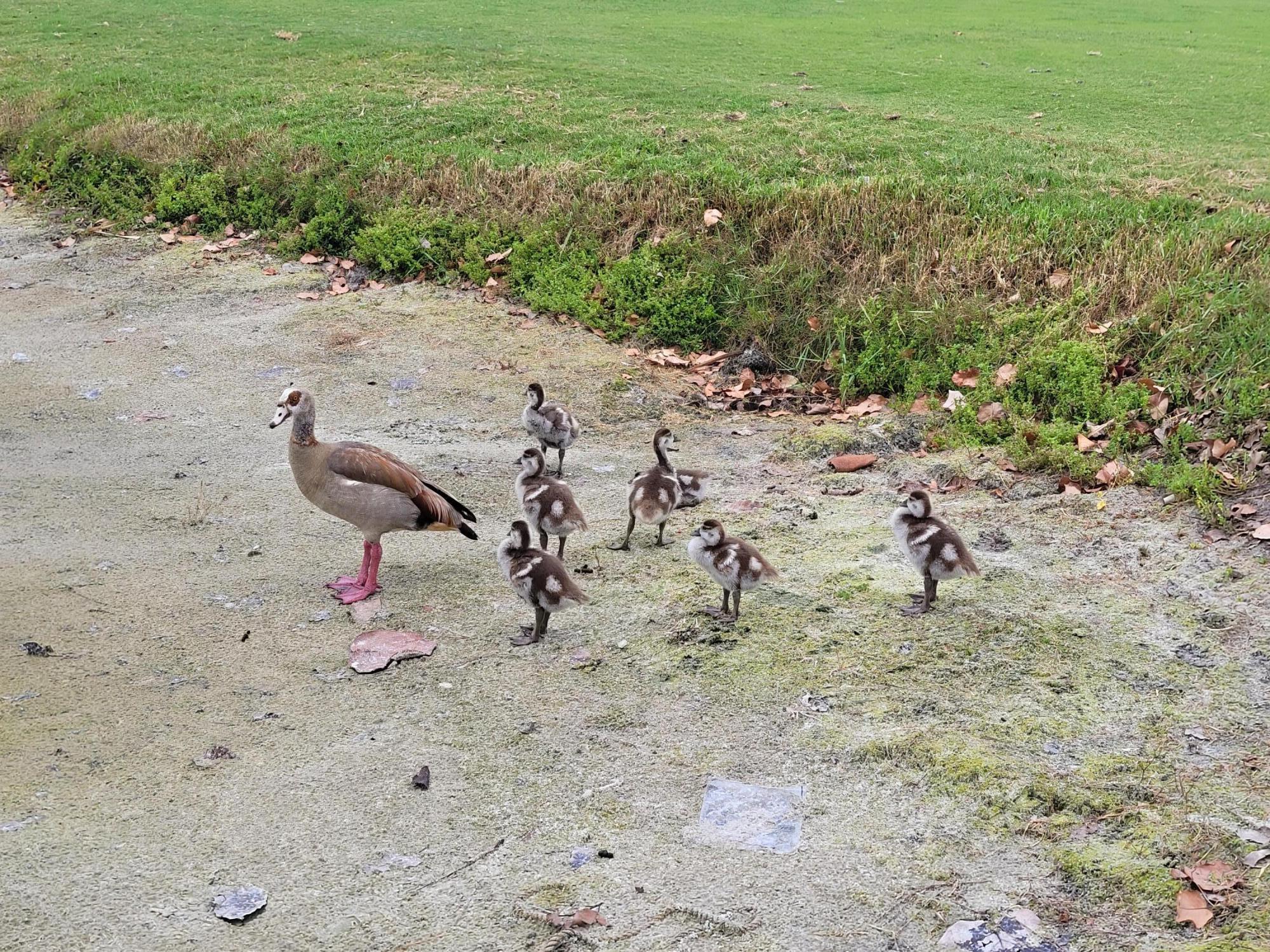 RIVERBEND CONDO - Residential