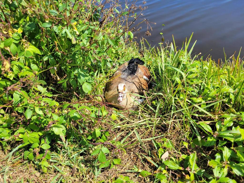 RIVERBEND CONDO - Residential