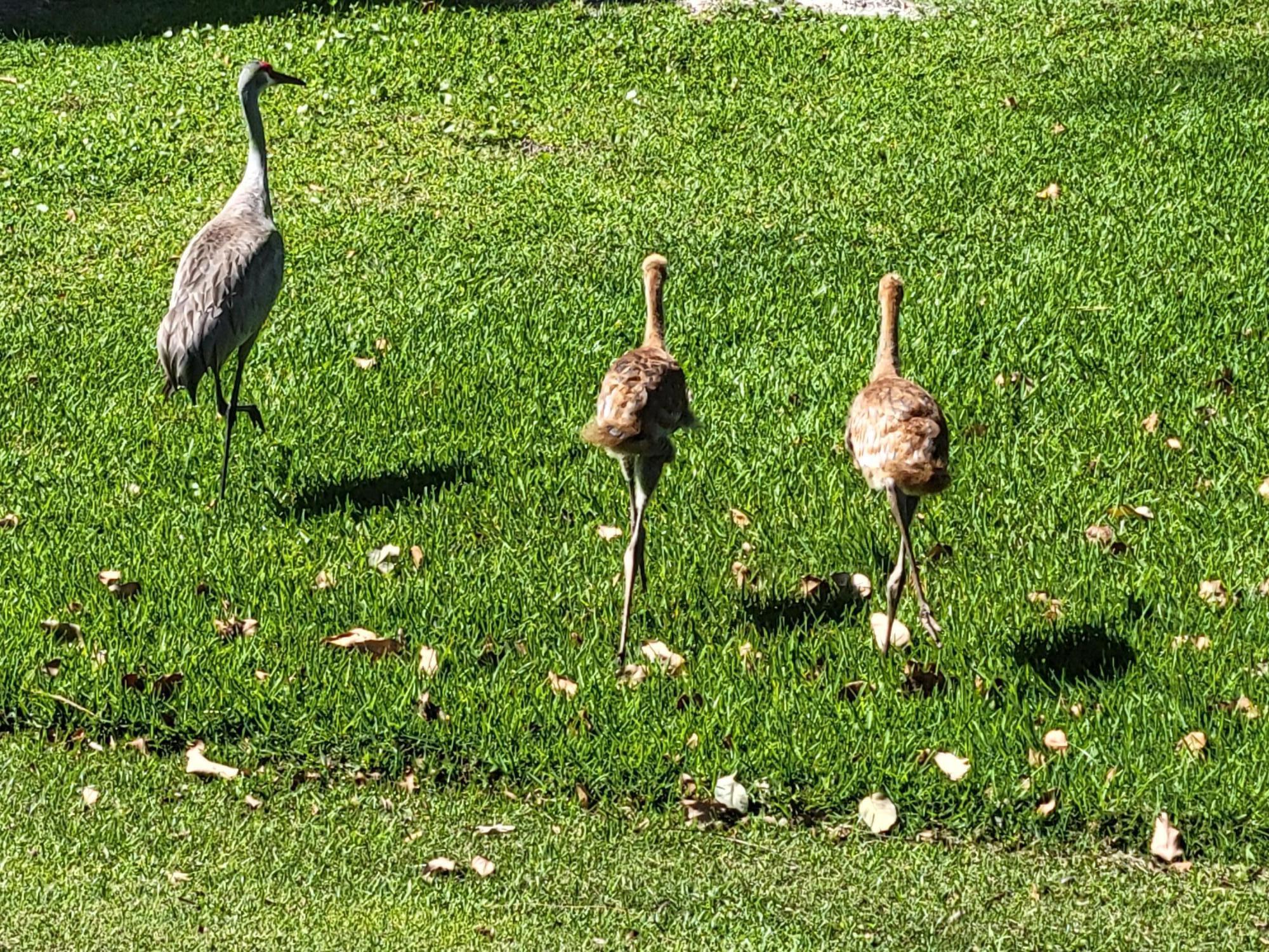 RIVERBEND CONDO - Residential