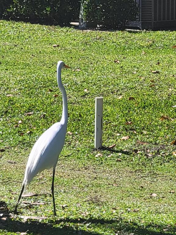 RIVERBEND CONDO - Residential