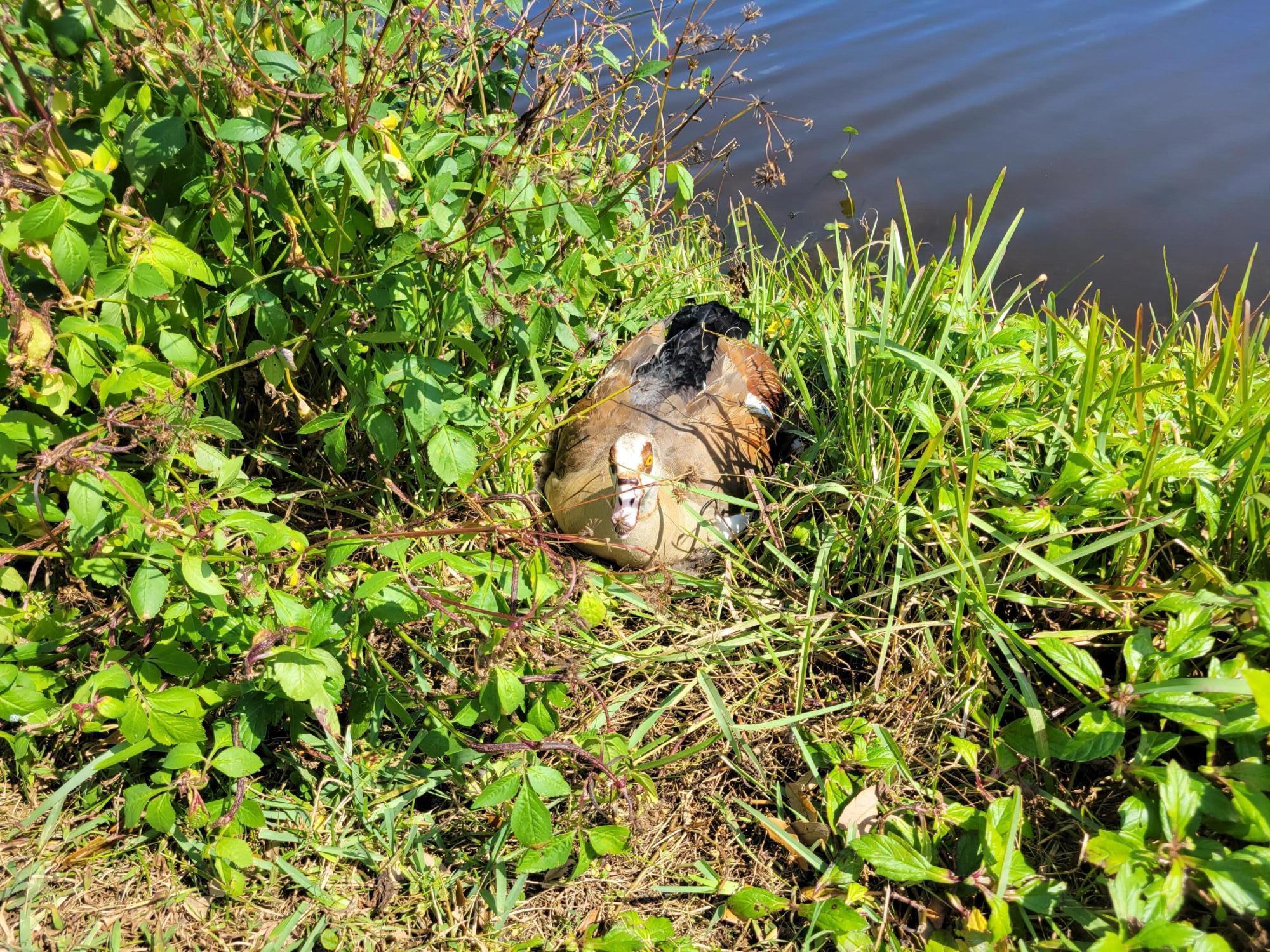 RIVERBEND CONDO - Residential