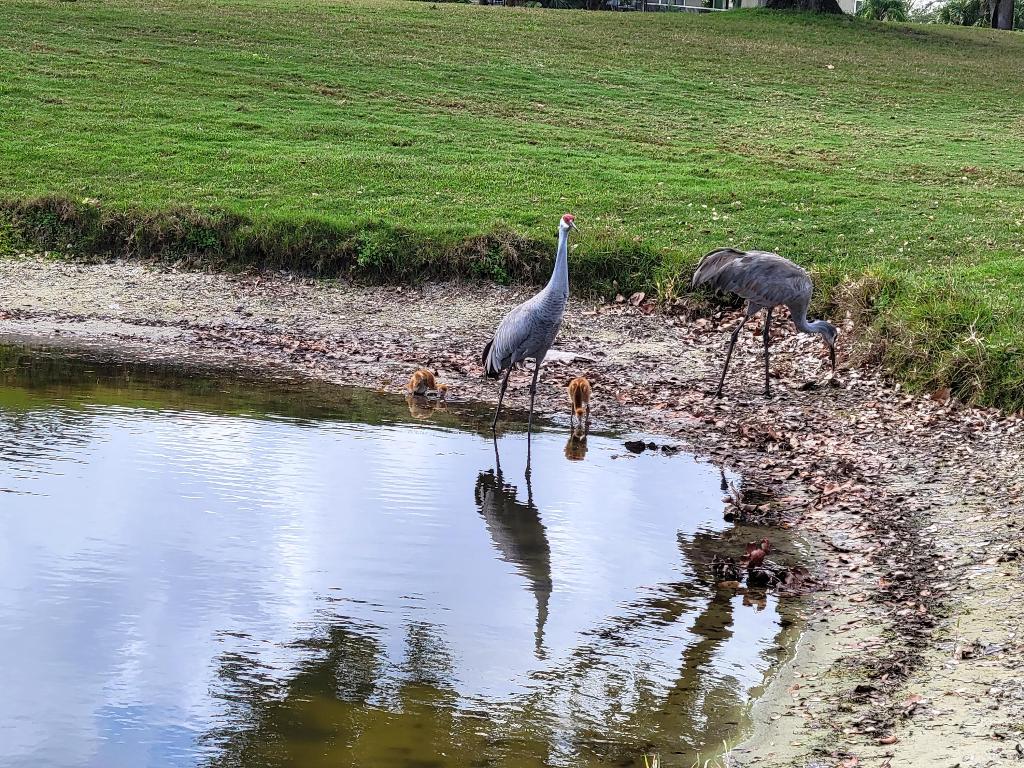 RIVERBEND CONDO - Residential
