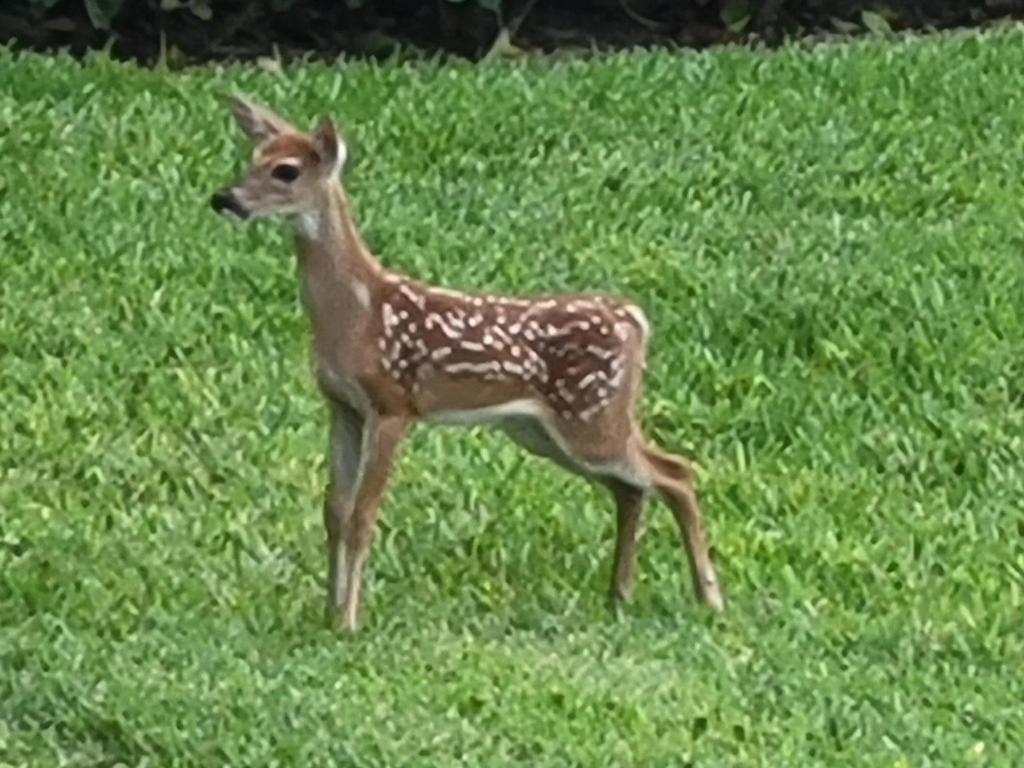 RIVERBEND CONDO - Residential