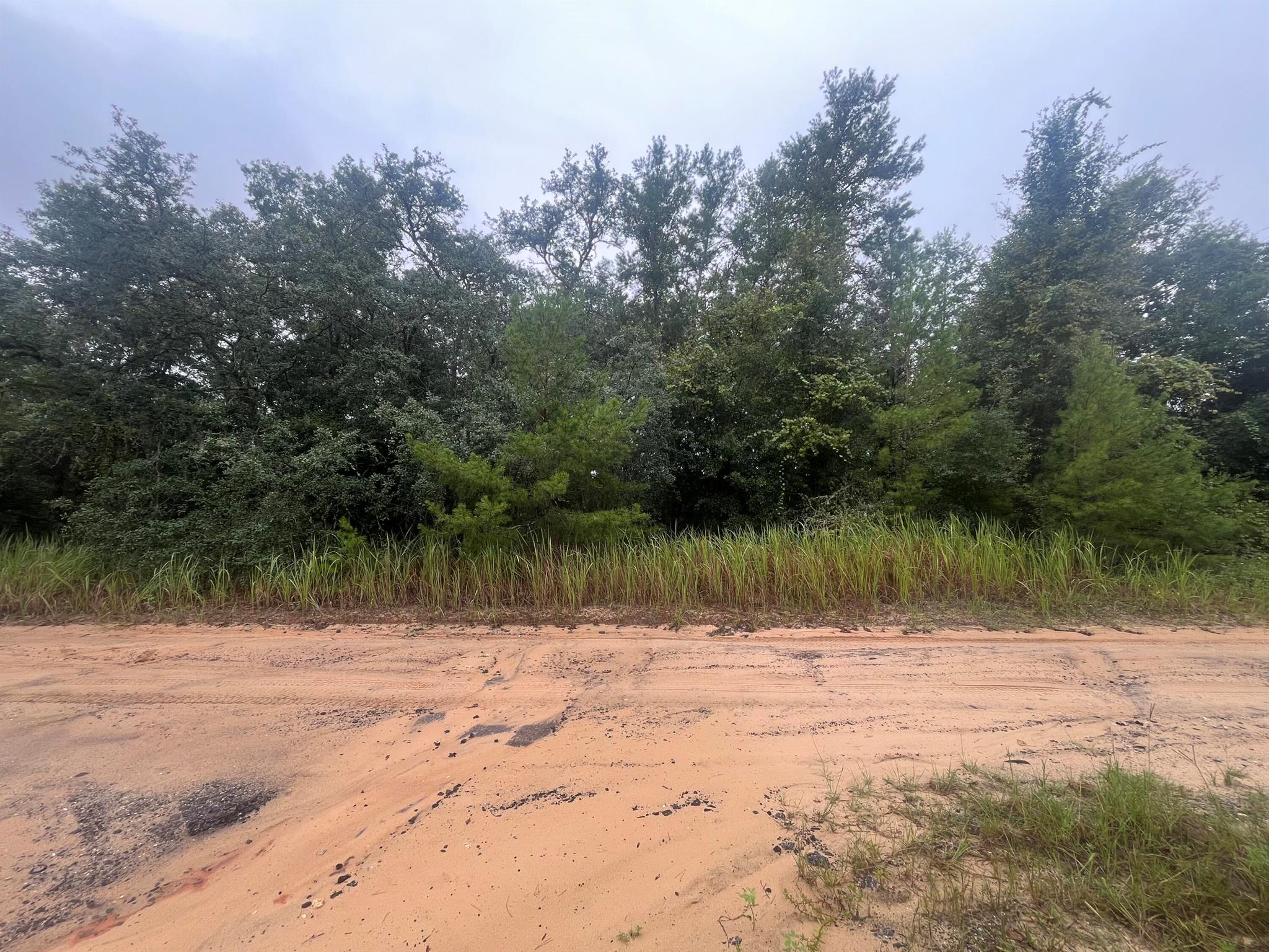 Owner financing is available with only $1,500 down! Don't Miss out on this high and dry 0.2 ACRE lot. Looking to purchase your dream property in Florida, look no further. Buying Land in Florida is a solid investment for your future, build your dream home, vacation home, rental investment or let the land build value as a great long-term investment to resell for a future profit.
