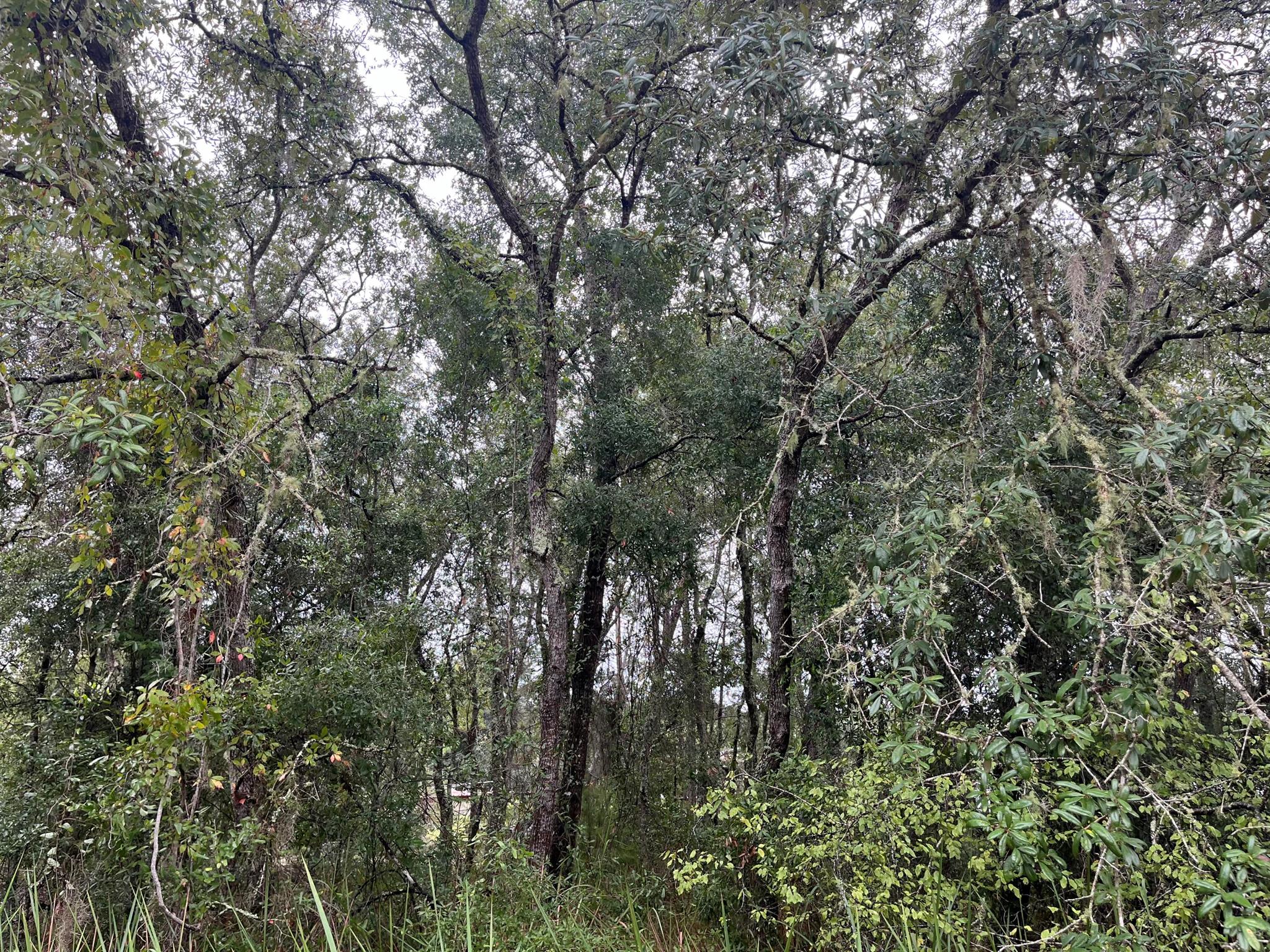 COOPER LAKE TERRACE - Land