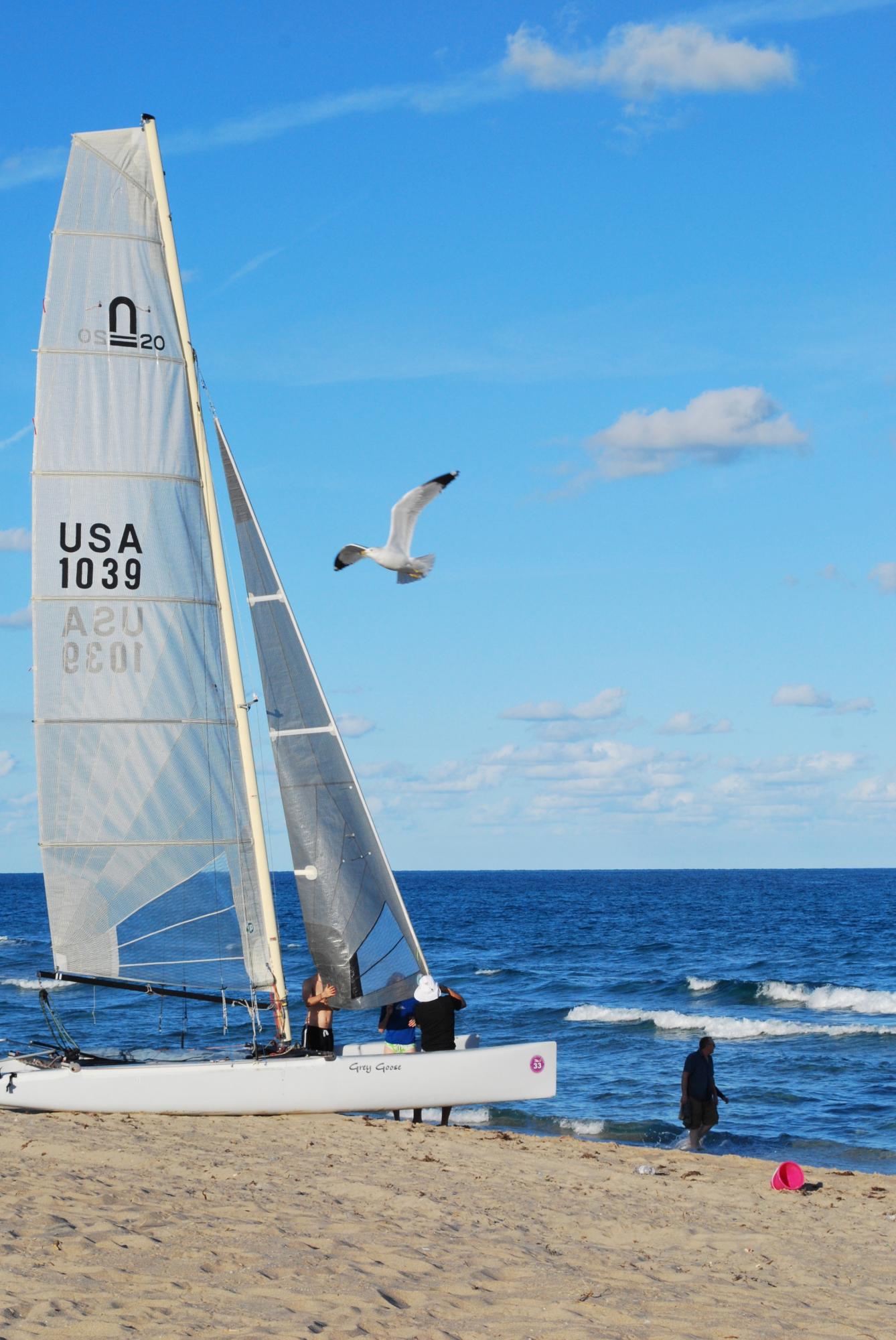 TROPIC PALMS - Residential