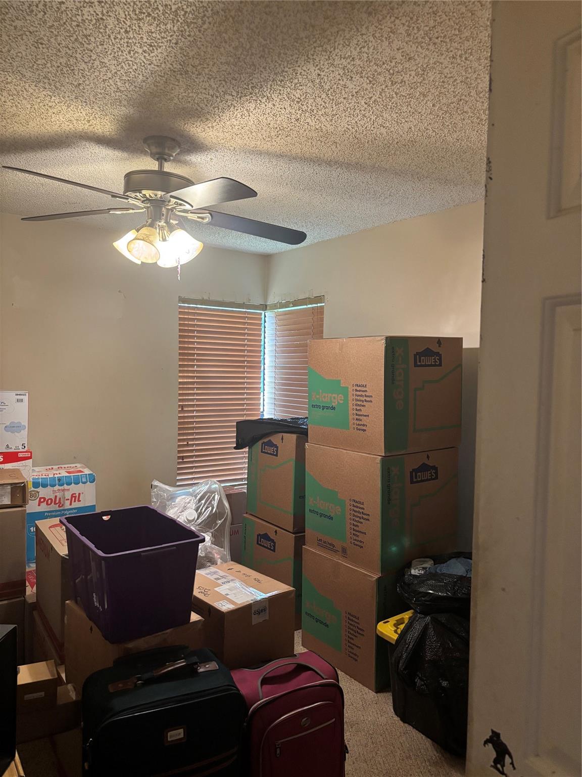 3117 Cocoplum Cir 33101