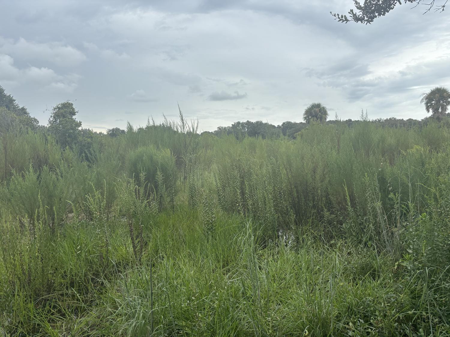 The Viking Estates - Land