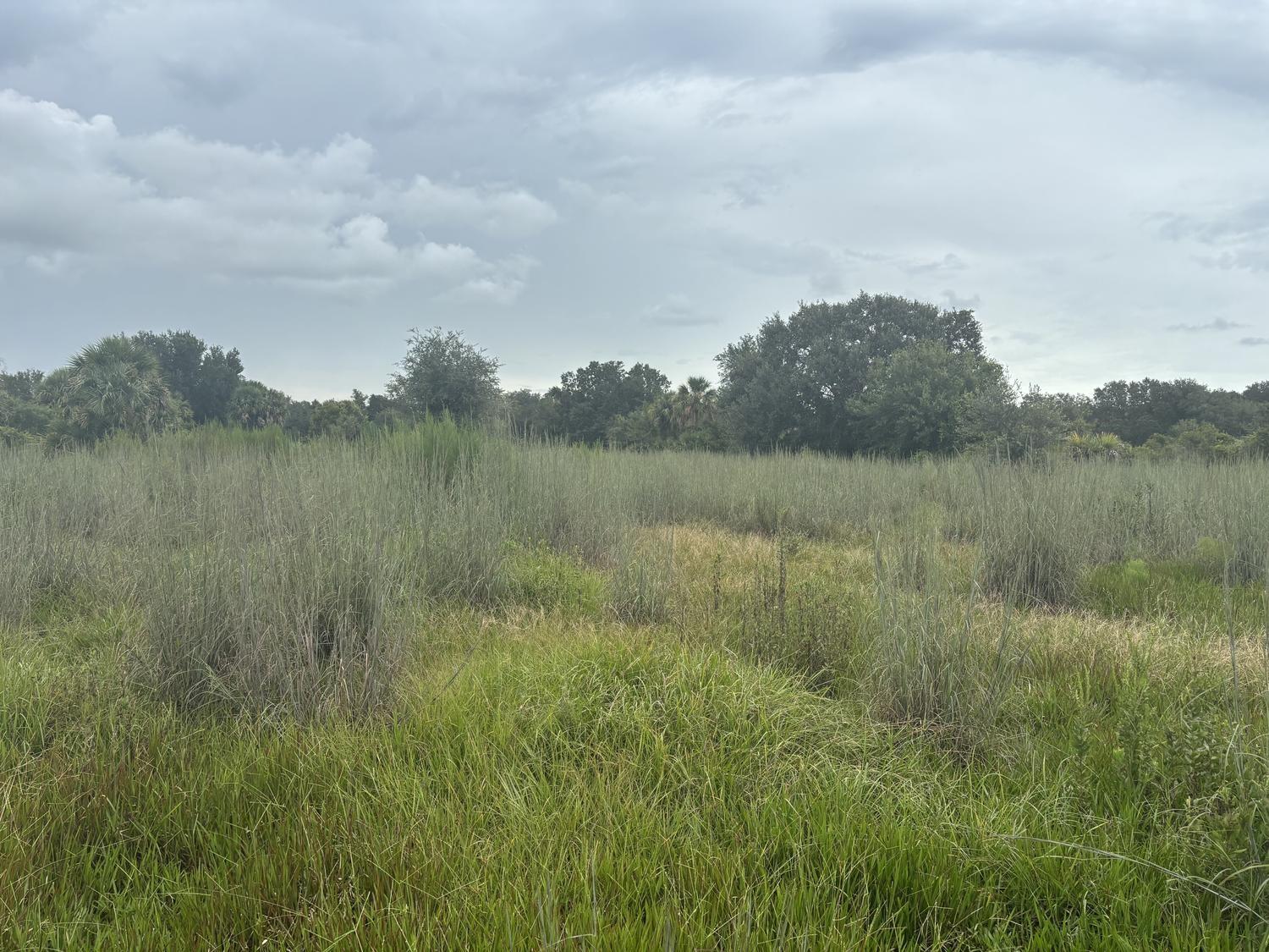 The Viking Estates - Land