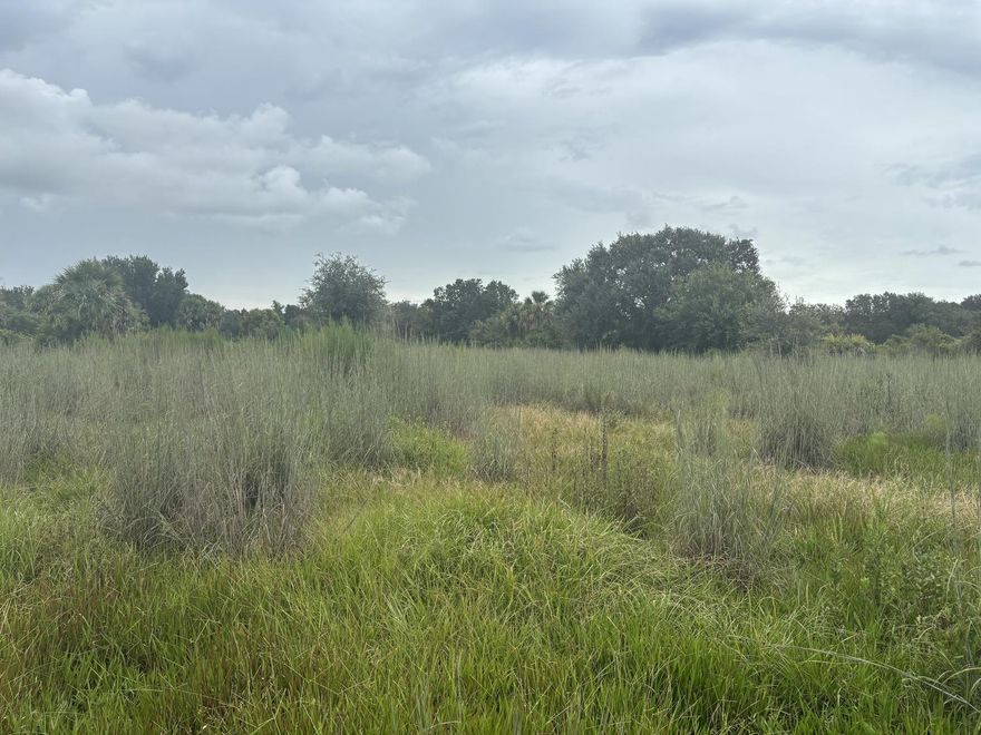 Great agricultural starter property (chickens, goats, pigs, food forest, greenhouses, etc….). Also a great recreational property (hunting, camping, 4-wheeling, etc…) Fill out the form below to schedule a day and time to go see it! Adjacent property also available for sale.
Owner financing available