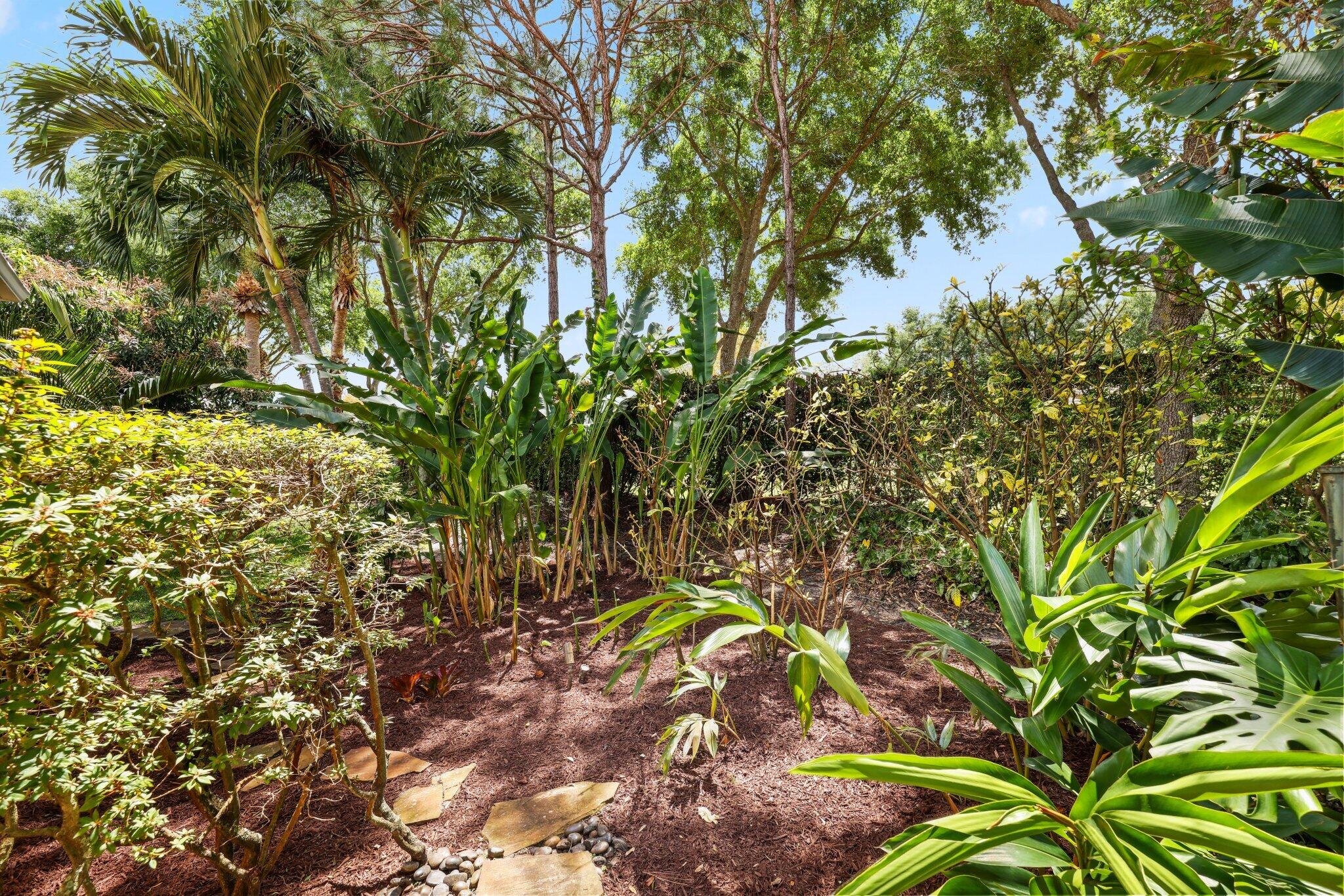 CANYON SPRINGS - Residential