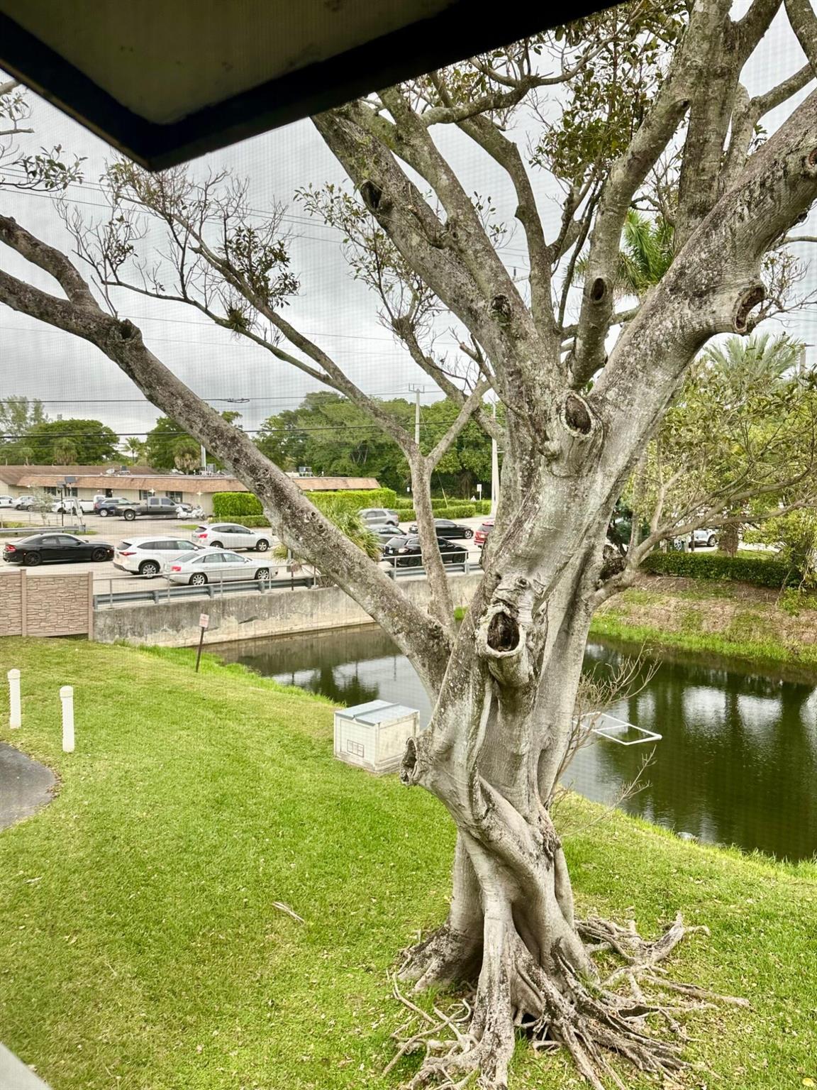 LAURELS AT MARGATE CONDO - Residential