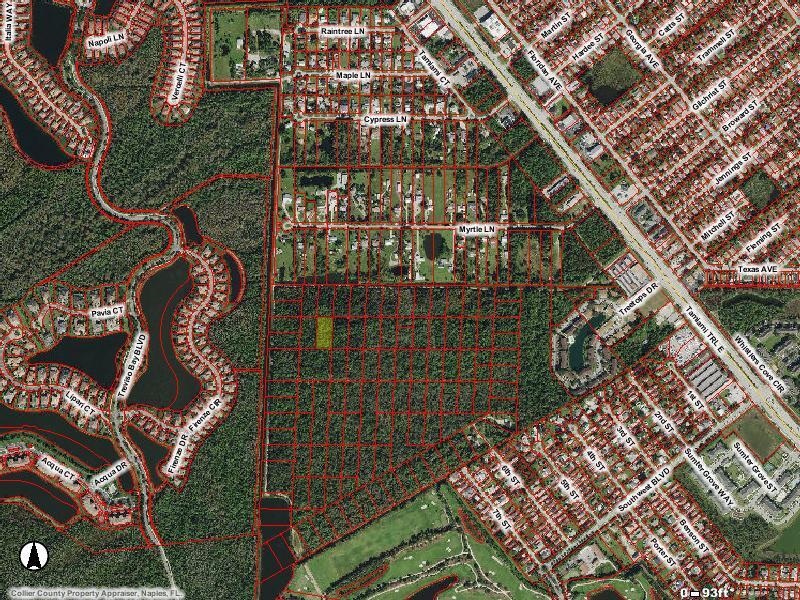 INVESTOR SPECIAL!! IF YOU'RE LOOKING FOR LAND IN SOUTH NAPLES TO BUILD ON IN THE FUTURE, THIS IS IT. GOOD TIME TO BUY AND HOLD 1 OF 3 LOTS AVAILABLE IN THIS UNDEVELOPED 100 ACRE SECTION LOCATED IN WENTWORTH ESTATES, JUST SOUTH OF MYRTLE LANE, WEST OF TREE TOPS DR, NORTH OF TREVISO BAY GOLF COURSE AND WEST OFF TAMIAMI TRAIL. COME AND GET 1 OR ALL 3 PARCELS, OF WHICH 2 ARE WATERFRONT AND THIRD IS ADJACENT TO REAR OF PARCEL 00444200000, ALL 3 LOTS ARE 1.03 ACRES EACH. NOW IS THE TIME TO GET IN ON THIS UP-AND-COMING LOCATION, AS LAND BECOMES LESS AVAILABLE AND MORE EXPENSIVE IN THE BOOMING SOUTH NAPLES AREA.