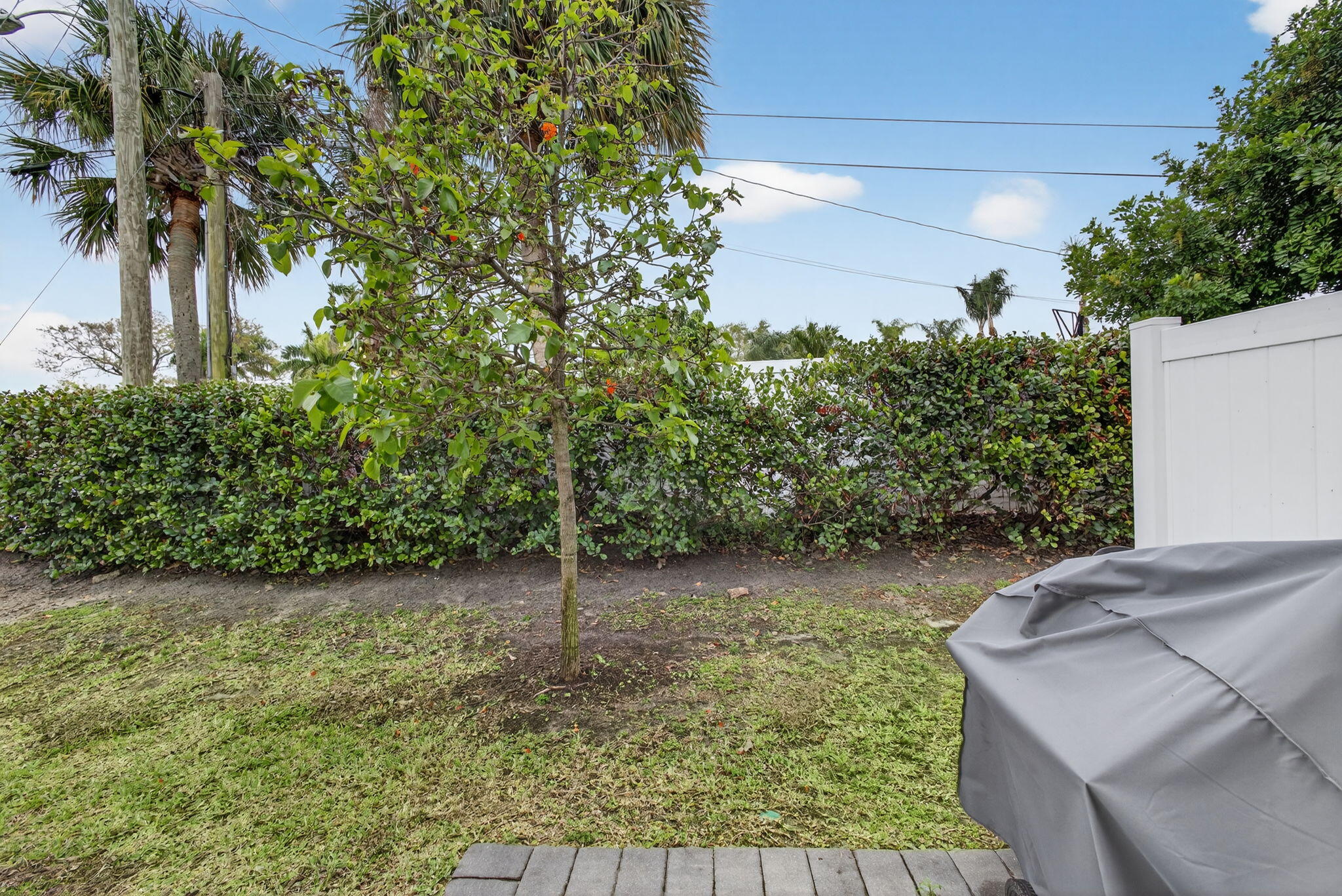 ENCLAVE AT MANGONIA PARK - Residential