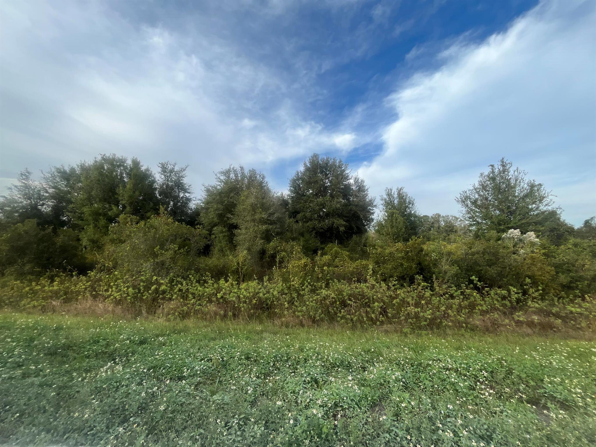 Nice 1.50 acre lot in Okeechobee County. The area is not just a haven for those seeking solitude but also a paradise for outdoor enthusiasts. nearby Kissimmee River Preserve State Park and the flowing Kissimmee River into Lake Okeechobee are hotspots for some of the best fishing experiences. Whether your interests lie in fishing, hunting, agriculture, or simply enjoying a private life away from the hustle, this locale promises a lifestyle filled with the joys of the natural Floridian landscape. This lot is listed below market value! Buying Land in Florida is a solid investment for your future, build your dream home, vacation home, rental investment or let the land build value as a great long-term investment to resell for a future profit.