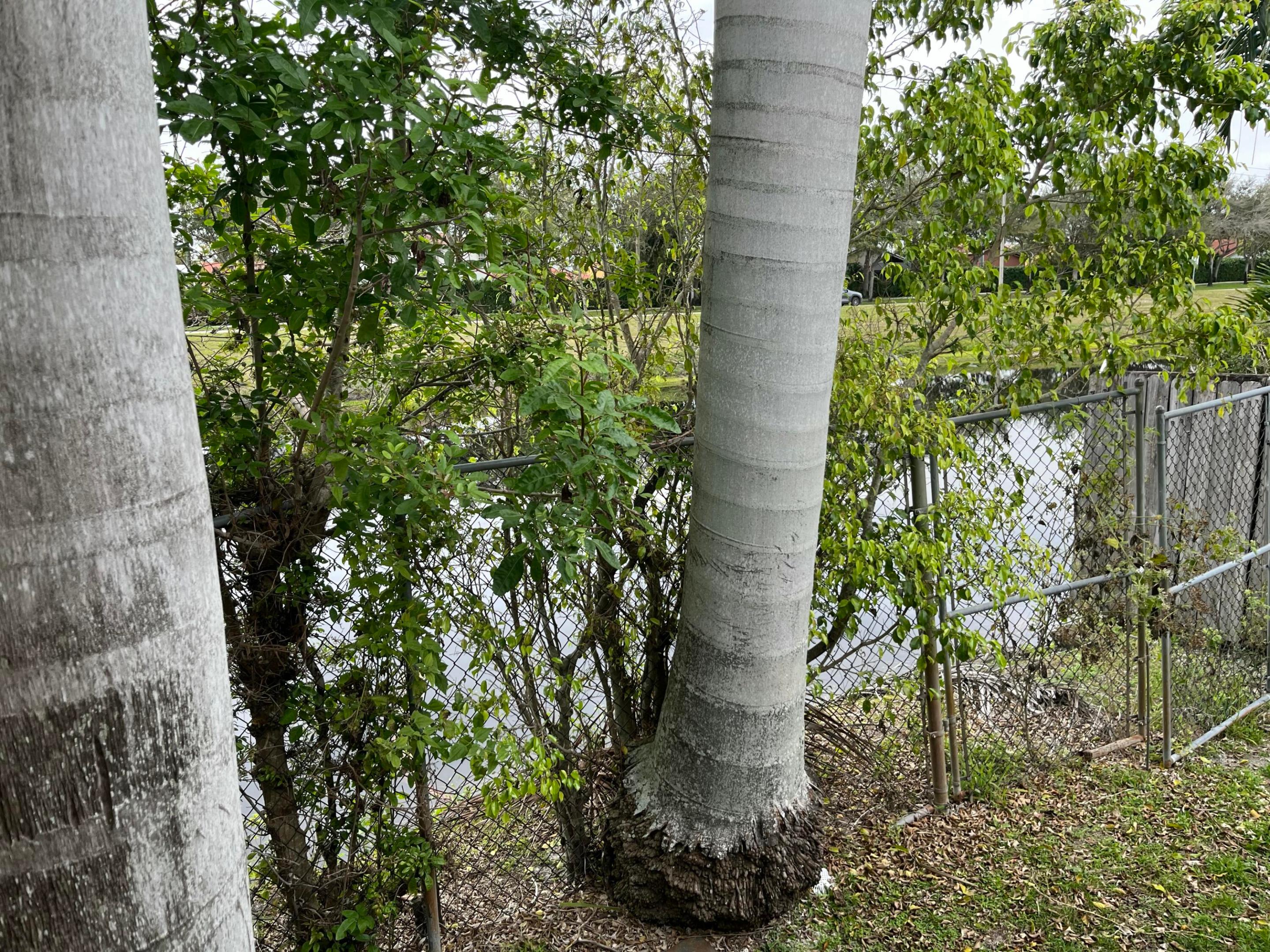 NORTH LINKS COUNTRY CLUB ESTS - Residential