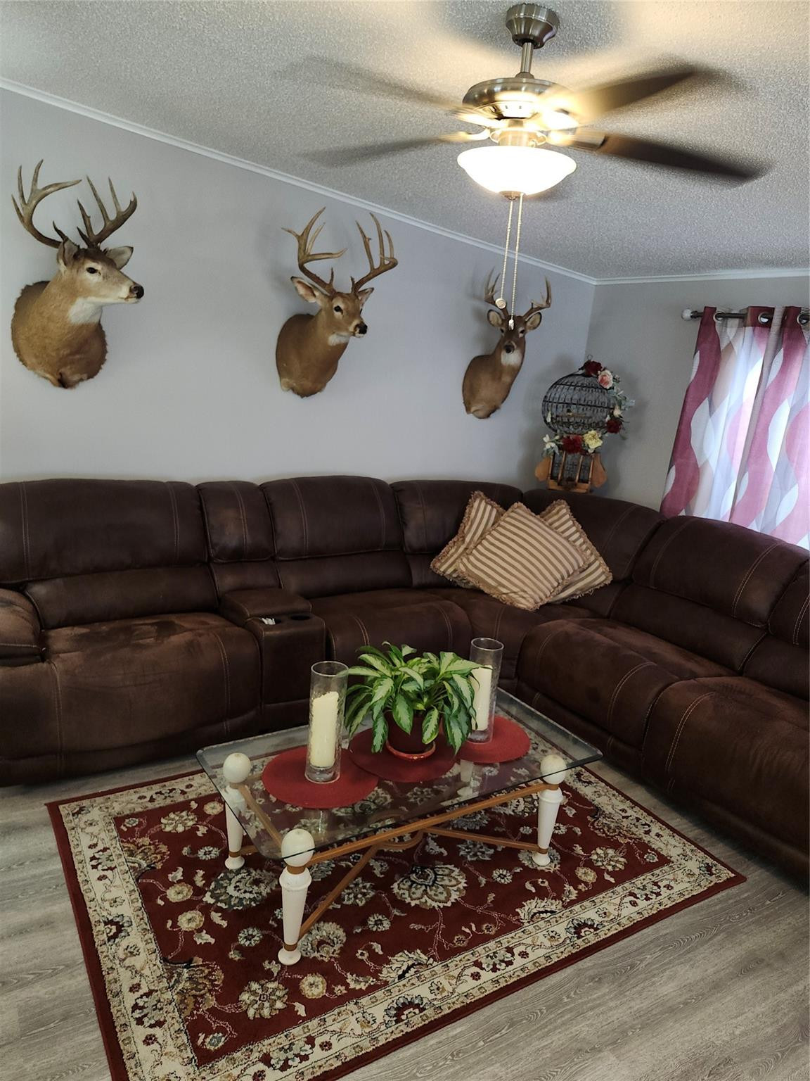 3115 Columbrina Circle