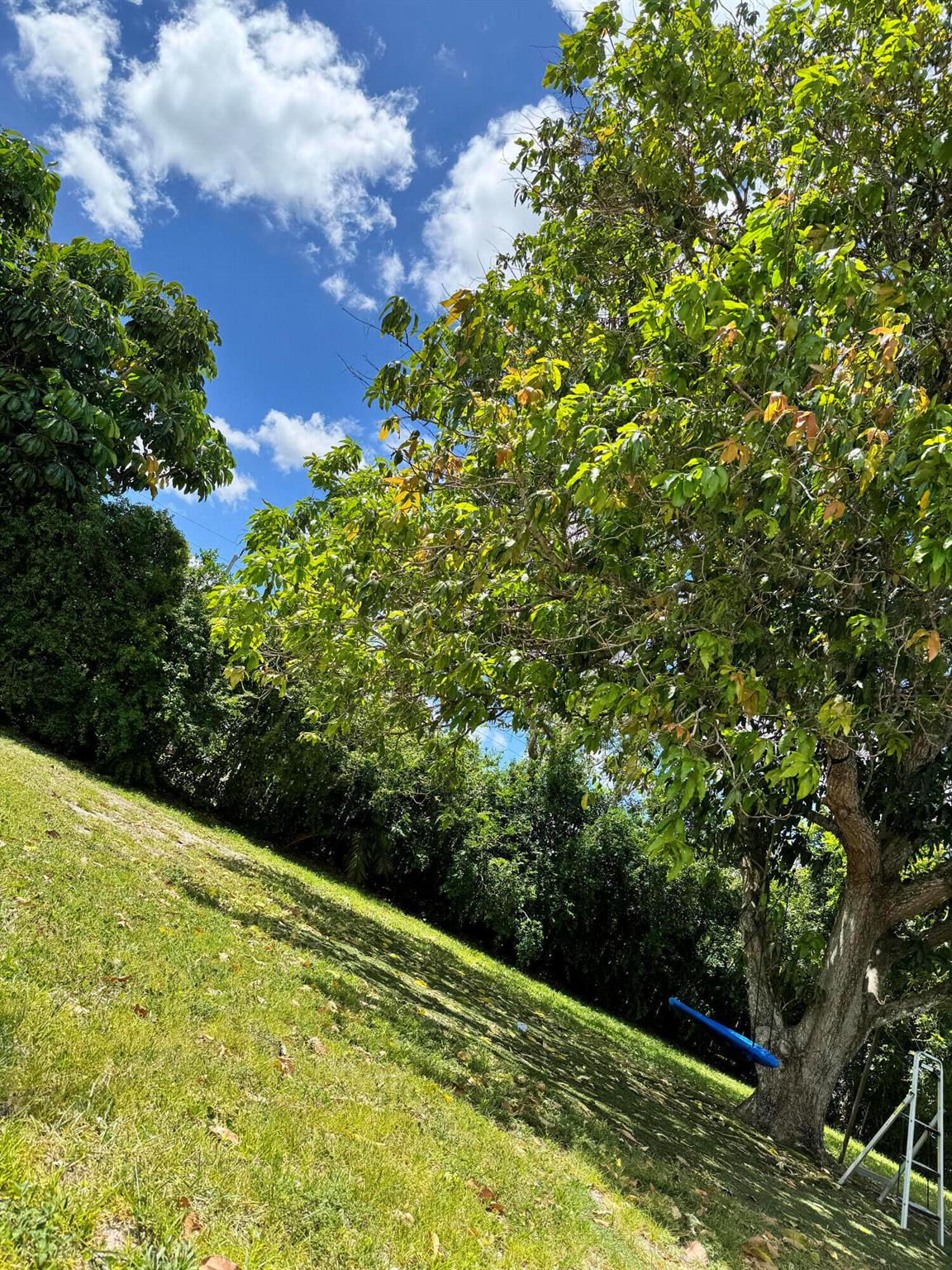 CHEVY CHASE AMD PLAT - Residential