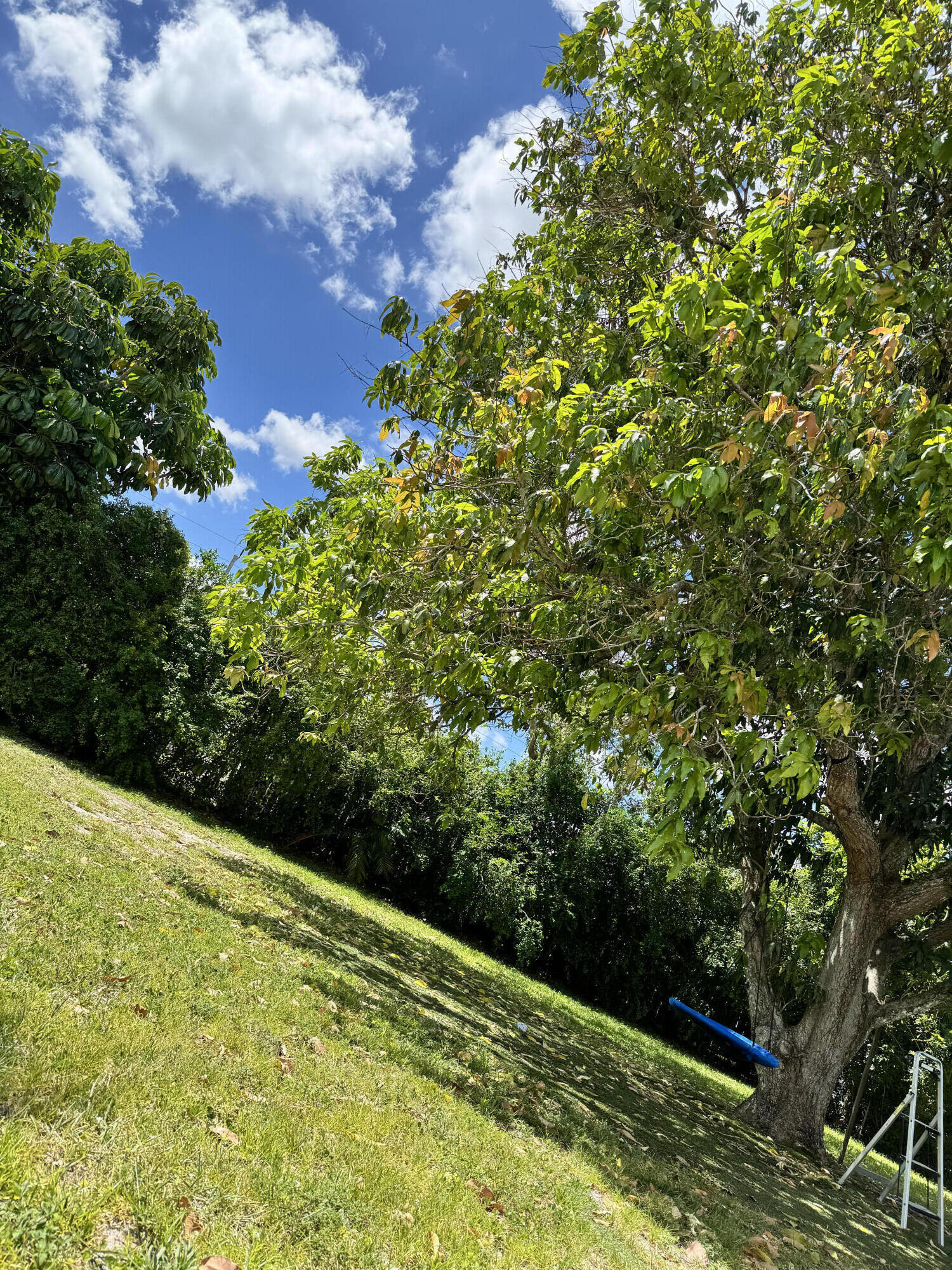 CHEVY CHASE AMD PLAT - Residential