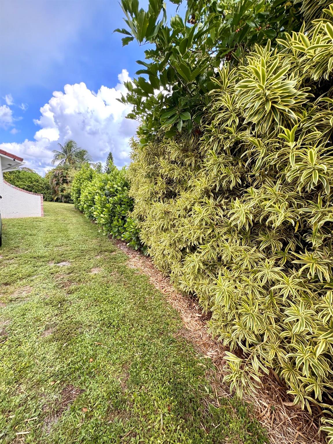 CHEVY CHASE AMD PLAT - Residential