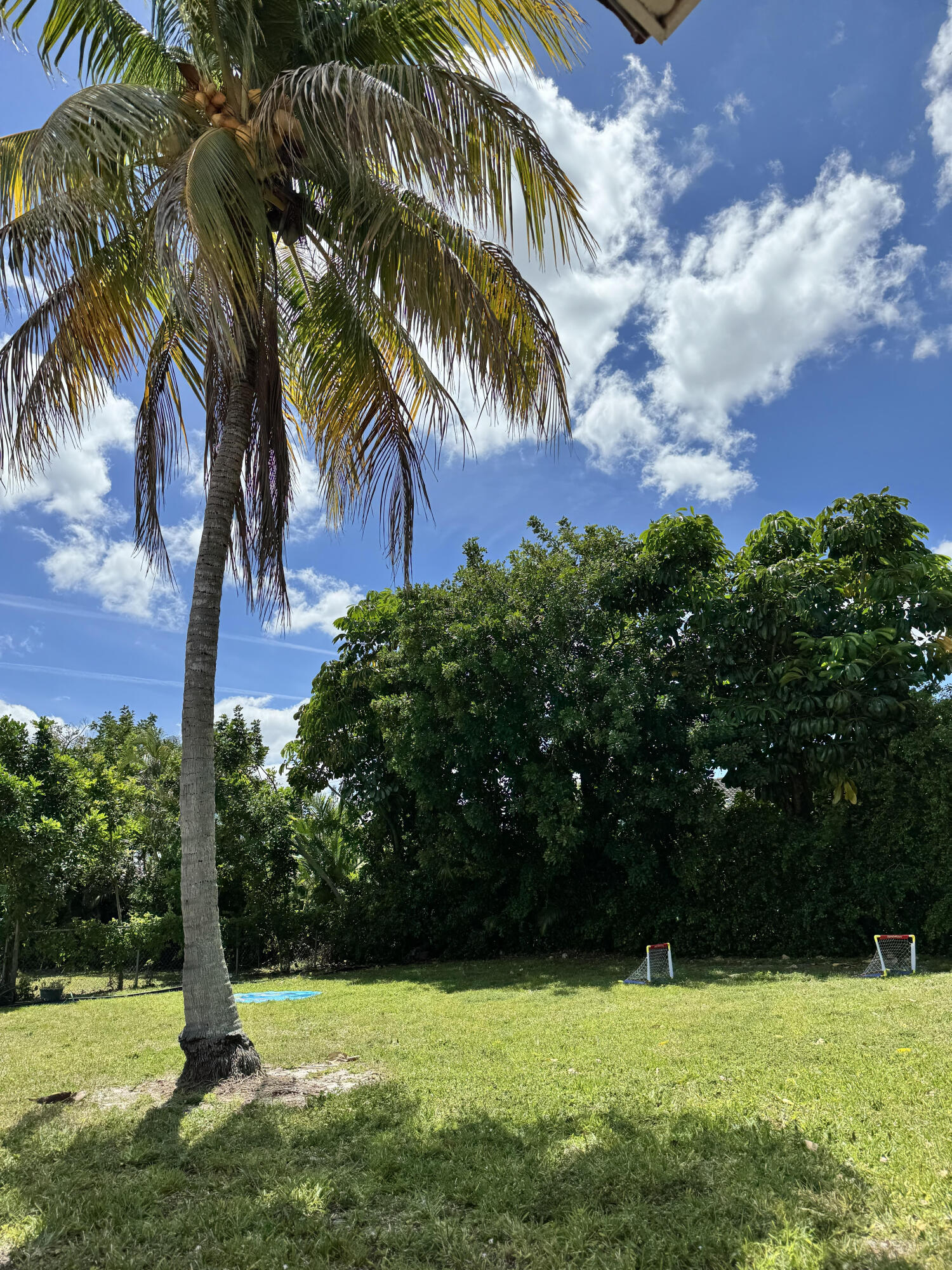 CHEVY CHASE AMD PLAT - Residential