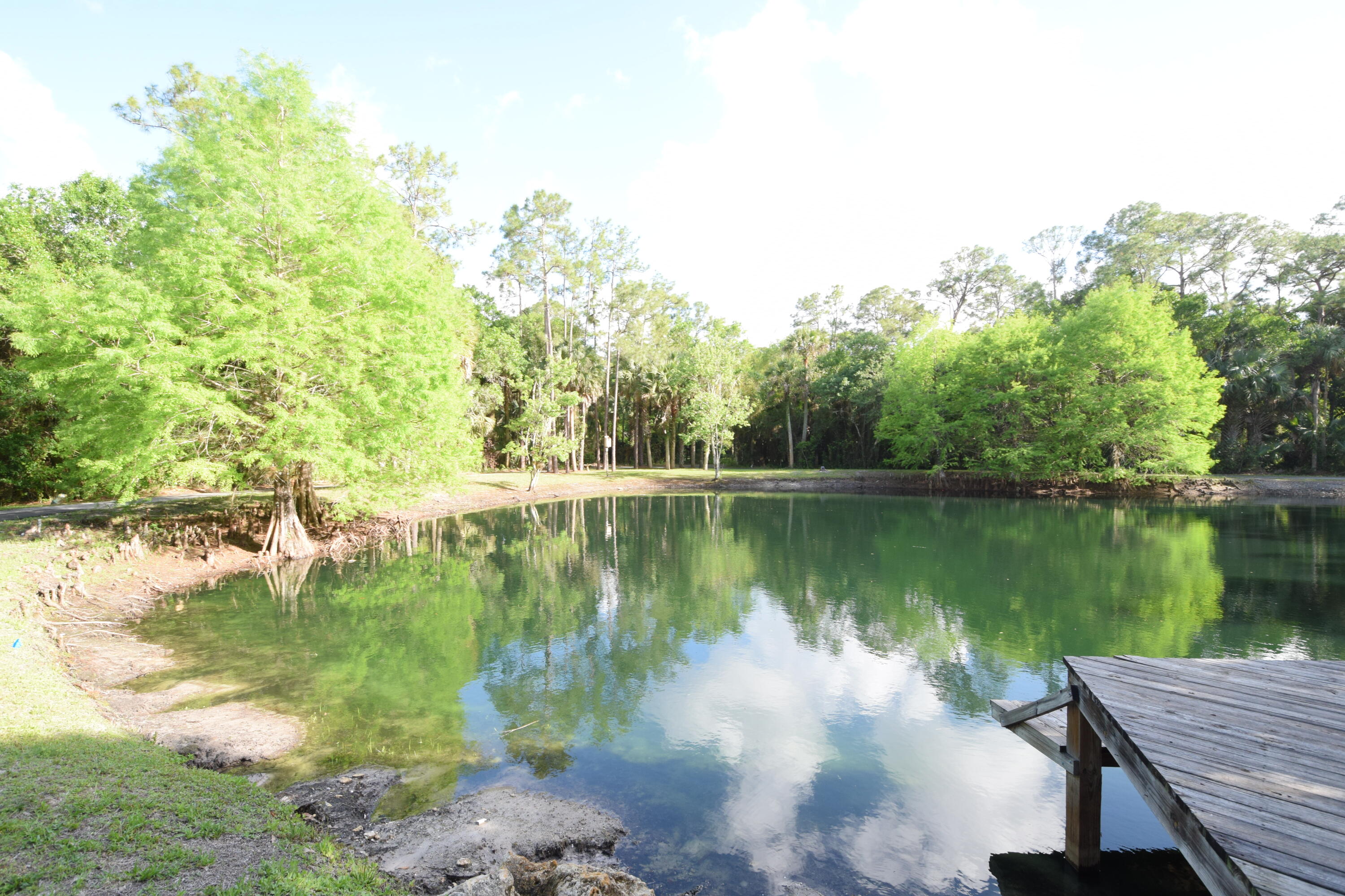Palm City Farms - Residential