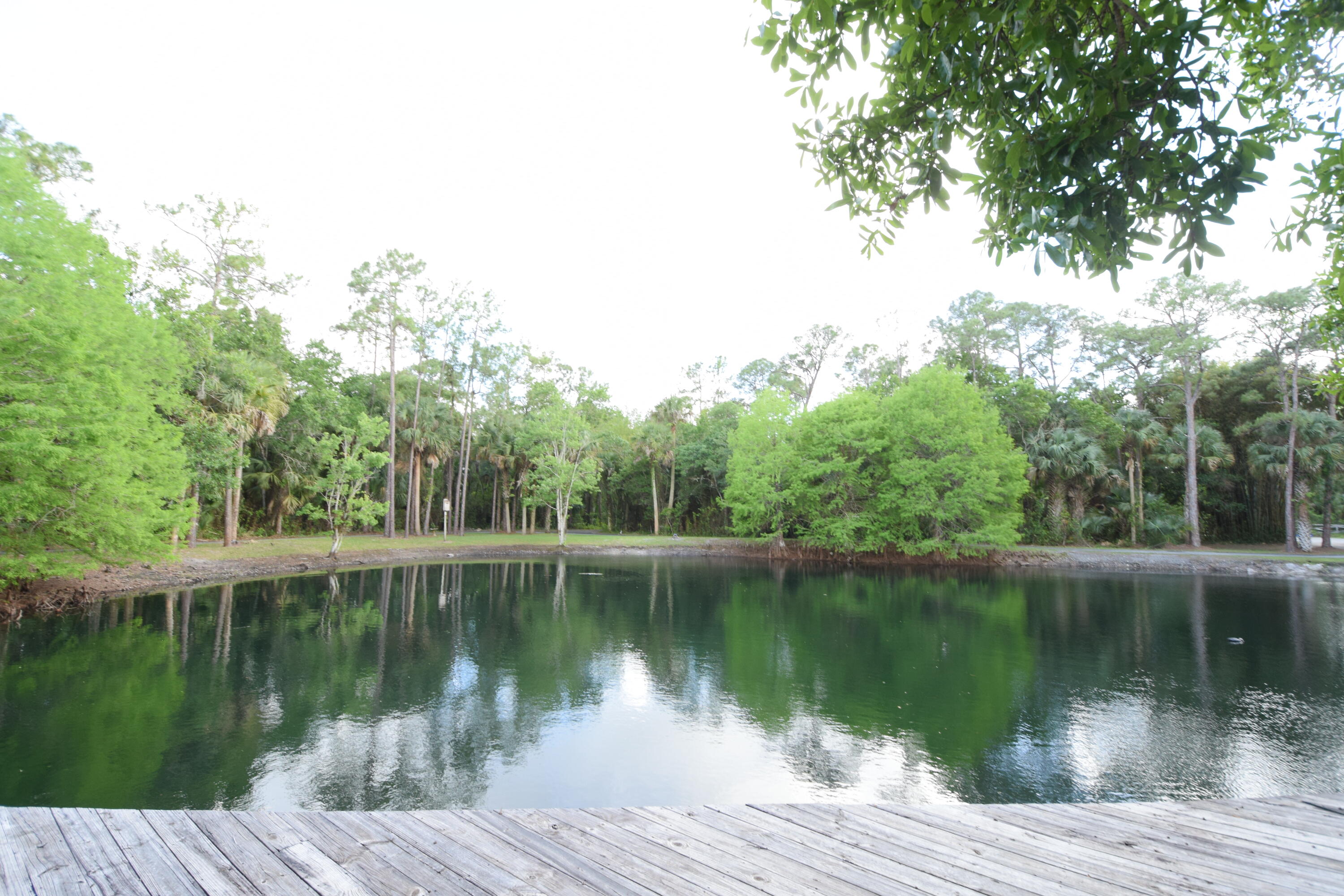 Palm City Farms - Residential