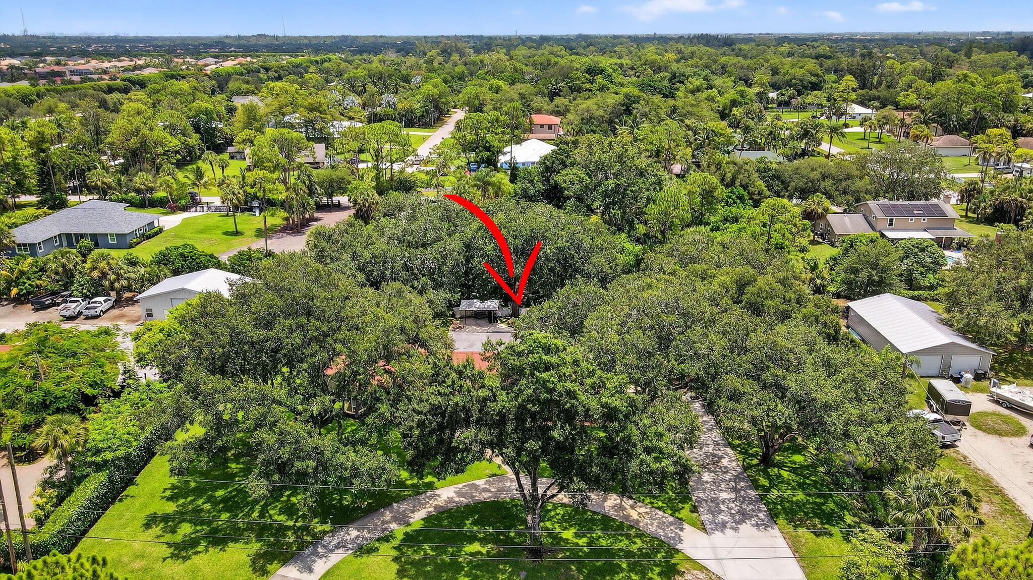 PALM BEACH RANCHETTES - Residential