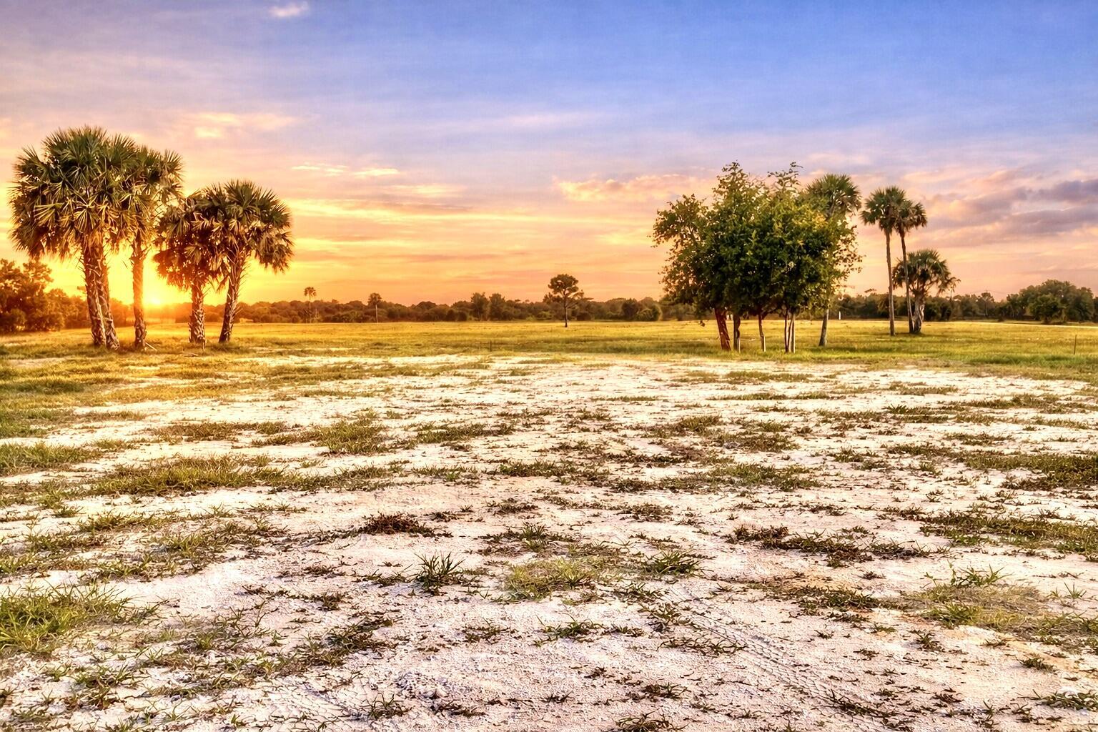 BRIDLEWOOD RANCHES - Land
