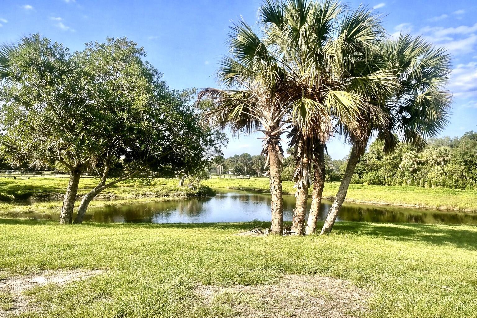 BRIDLEWOOD RANCHES - Land